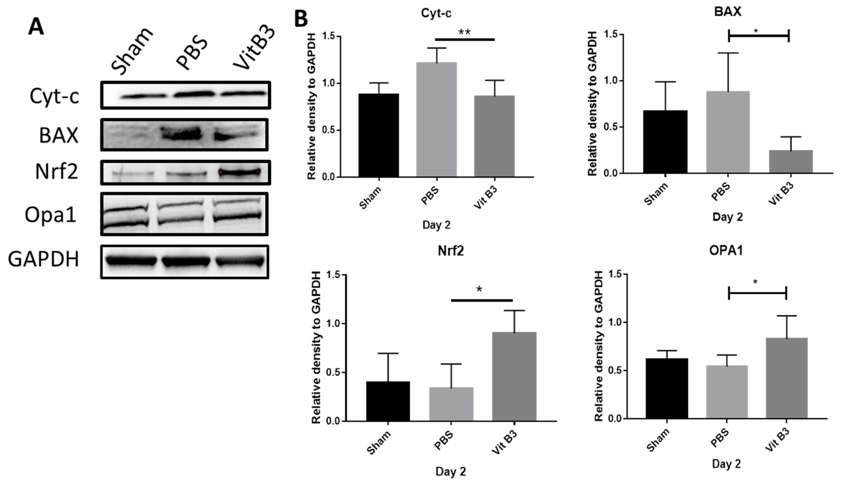 Antioxidants 11 02422 g006