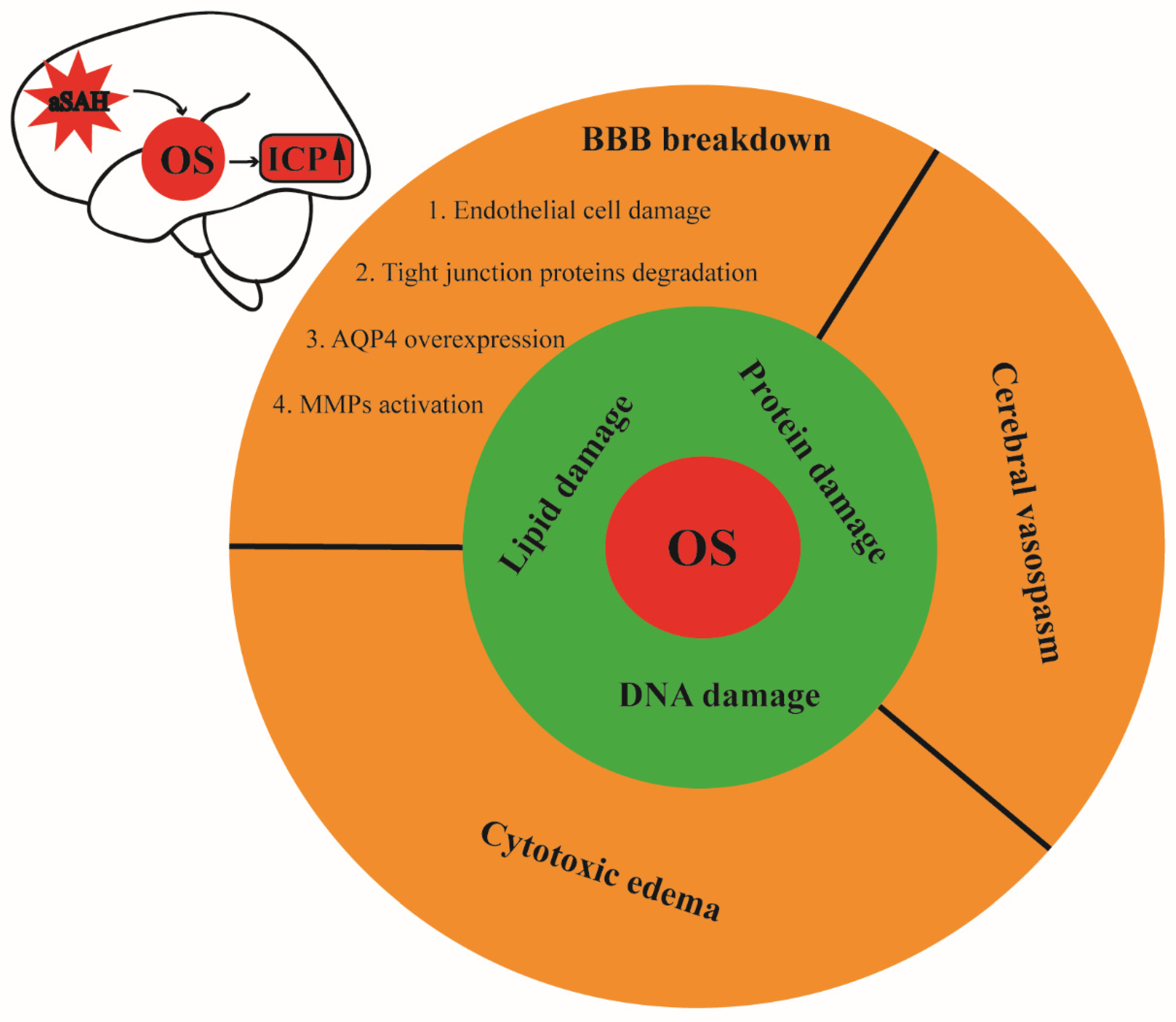 Antioxidants 11 02423 g002