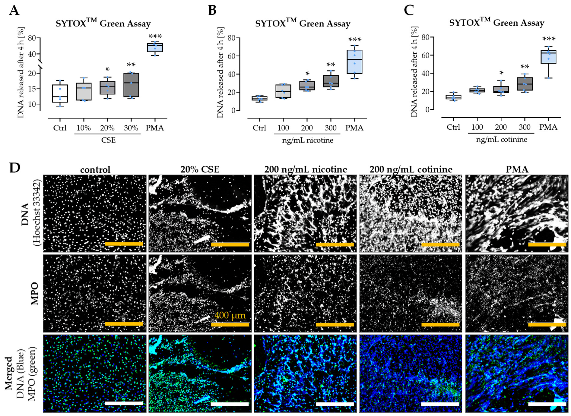 Antioxidants 11 02424 g005 Antioxidants 11 02424 g005