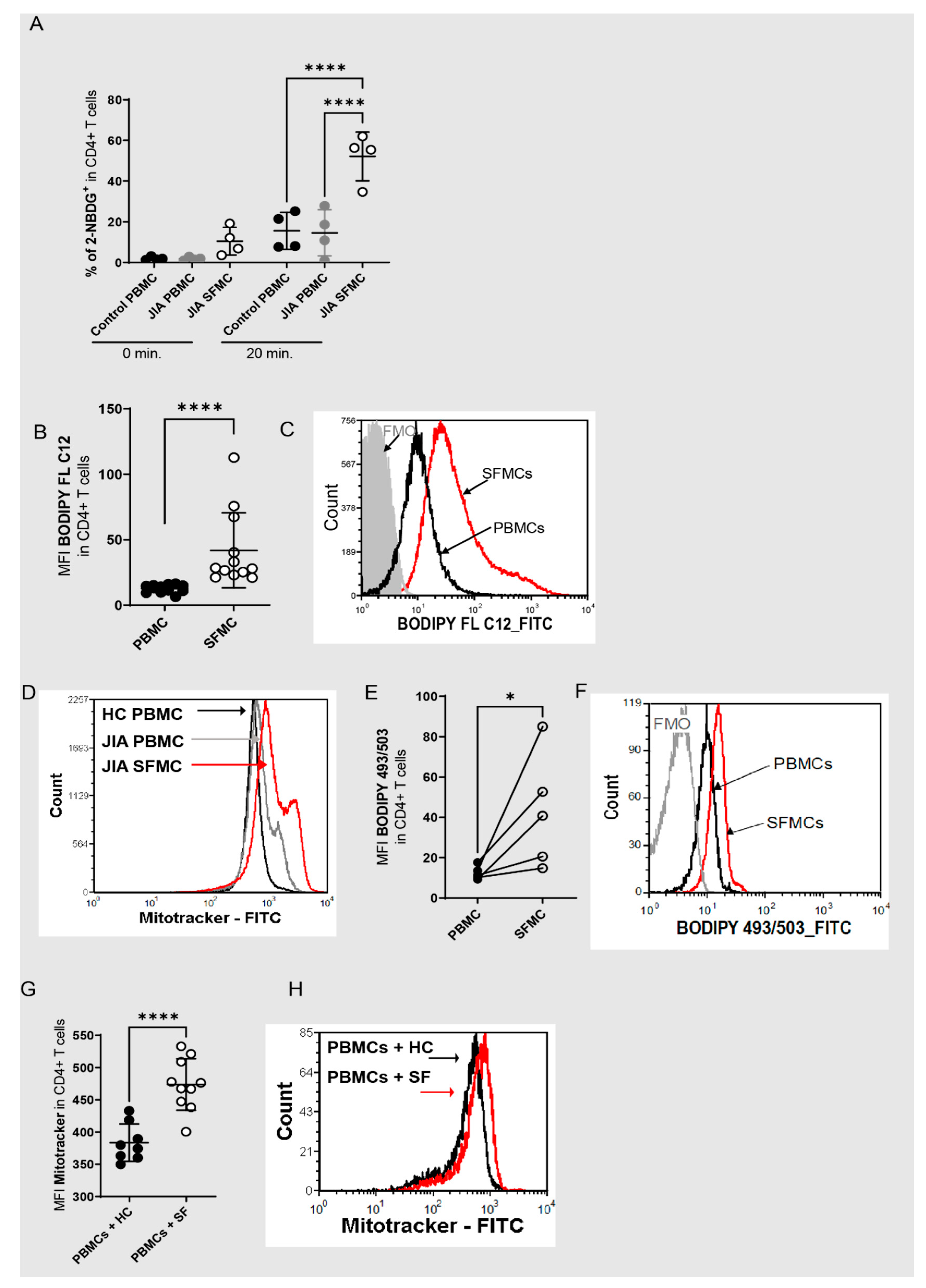 Antioxidants 11 02426 g001