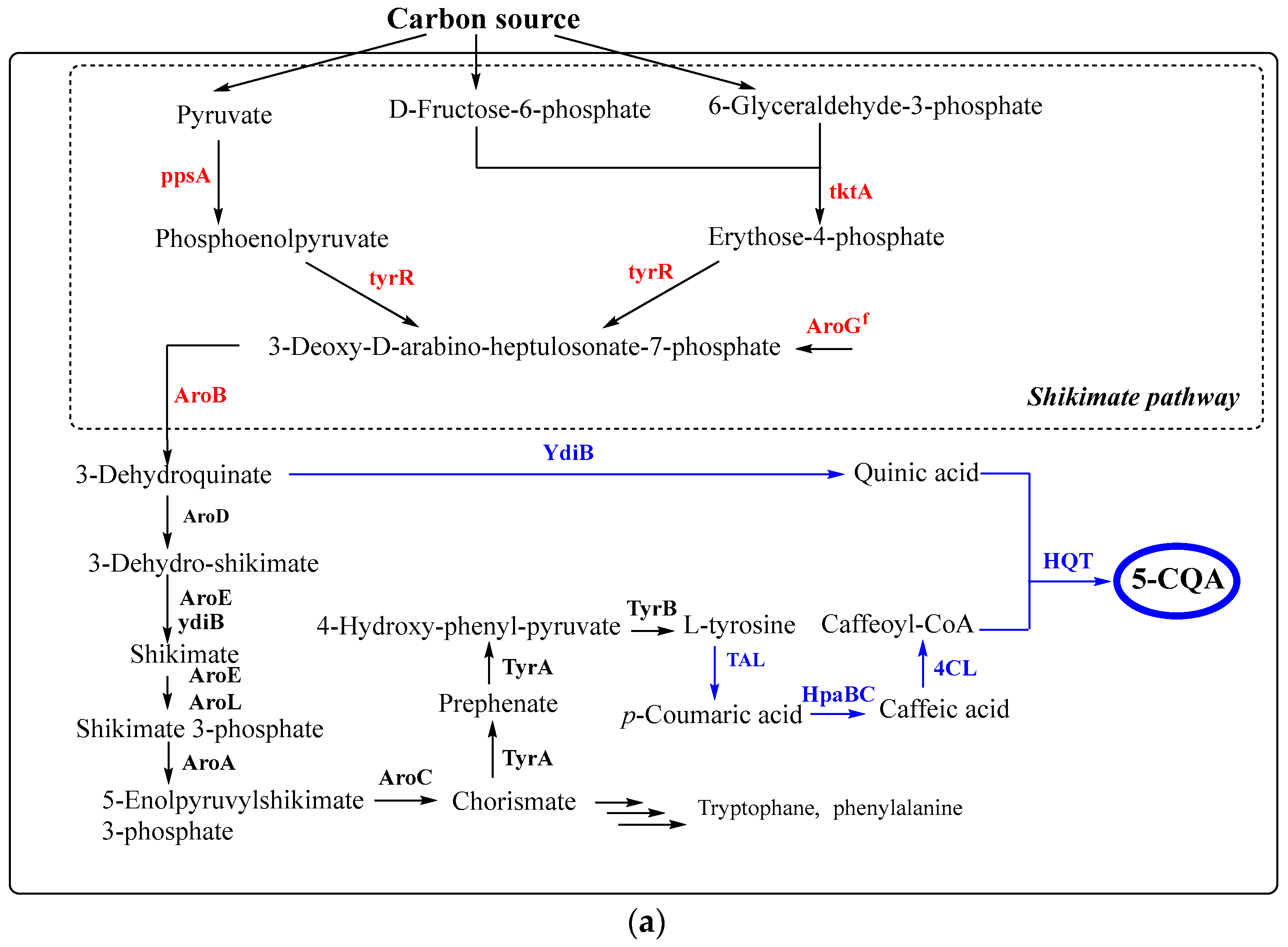 Antioxidants 11 02427 g006a Antioxidants 11 02427 g006a