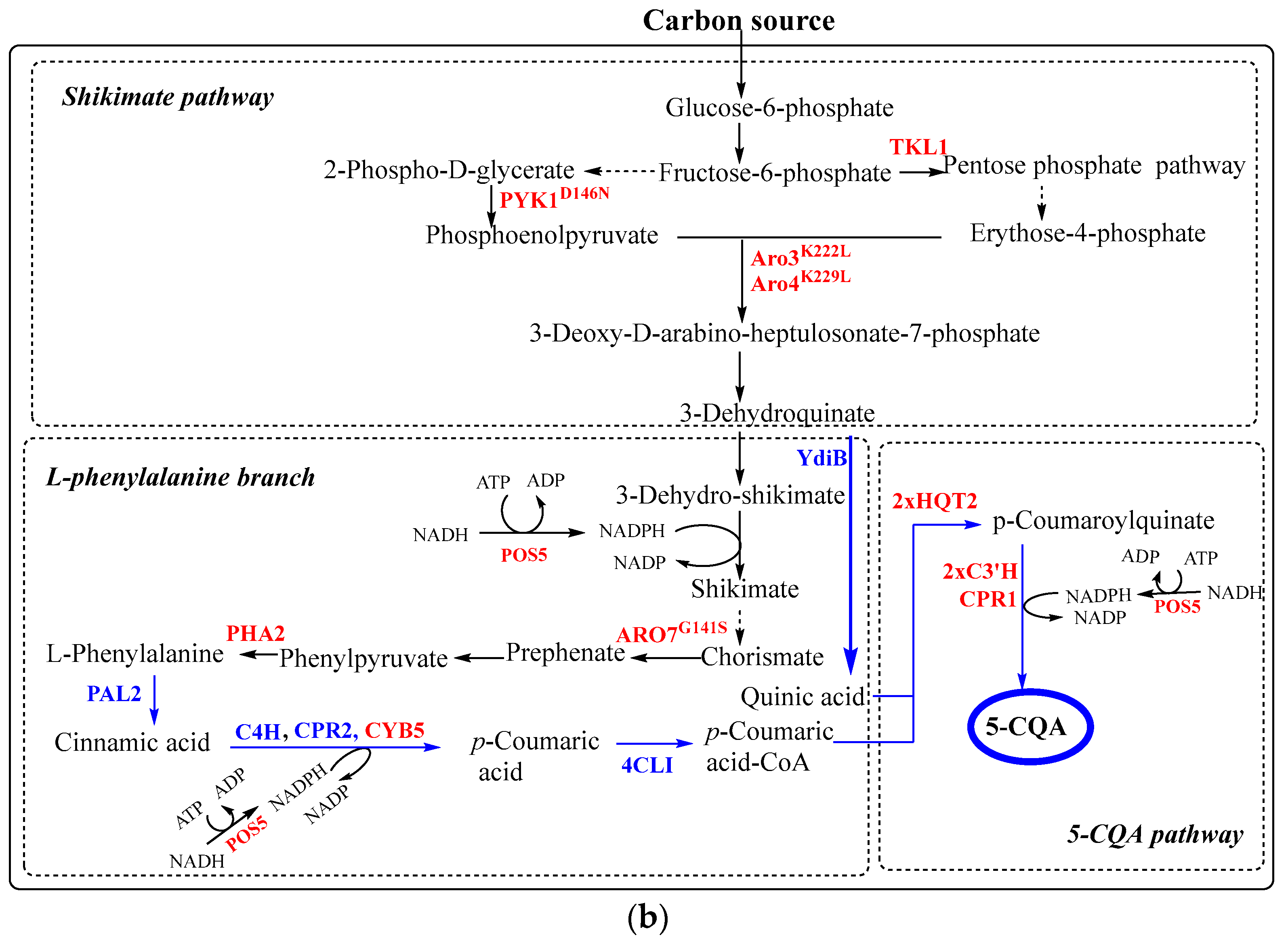 Antioxidants 11 02427 g006b Antioxidants 11 02427 g006b