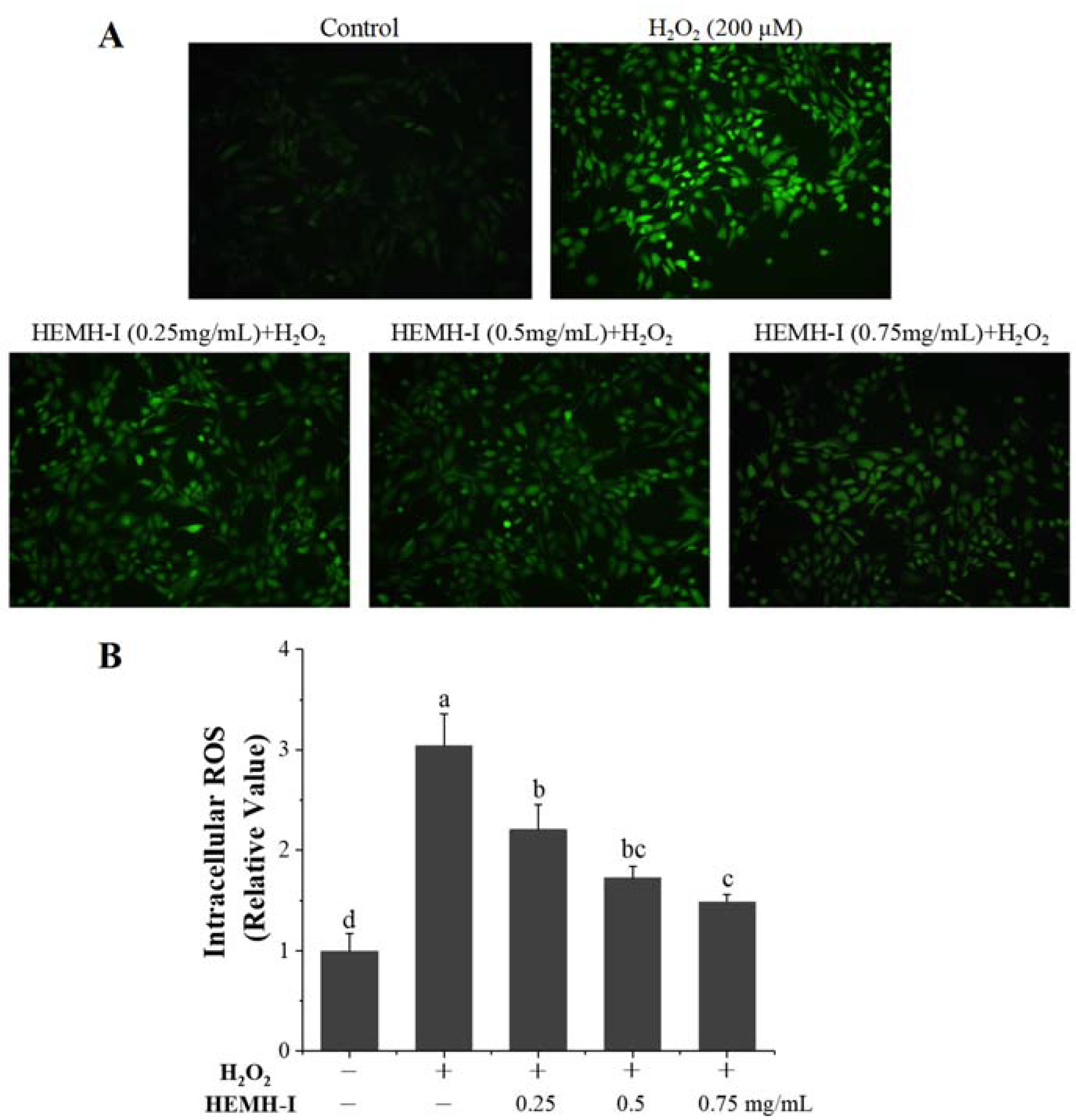 Antioxidants 11 02428 g006 Antioxidants 11 02428 g006