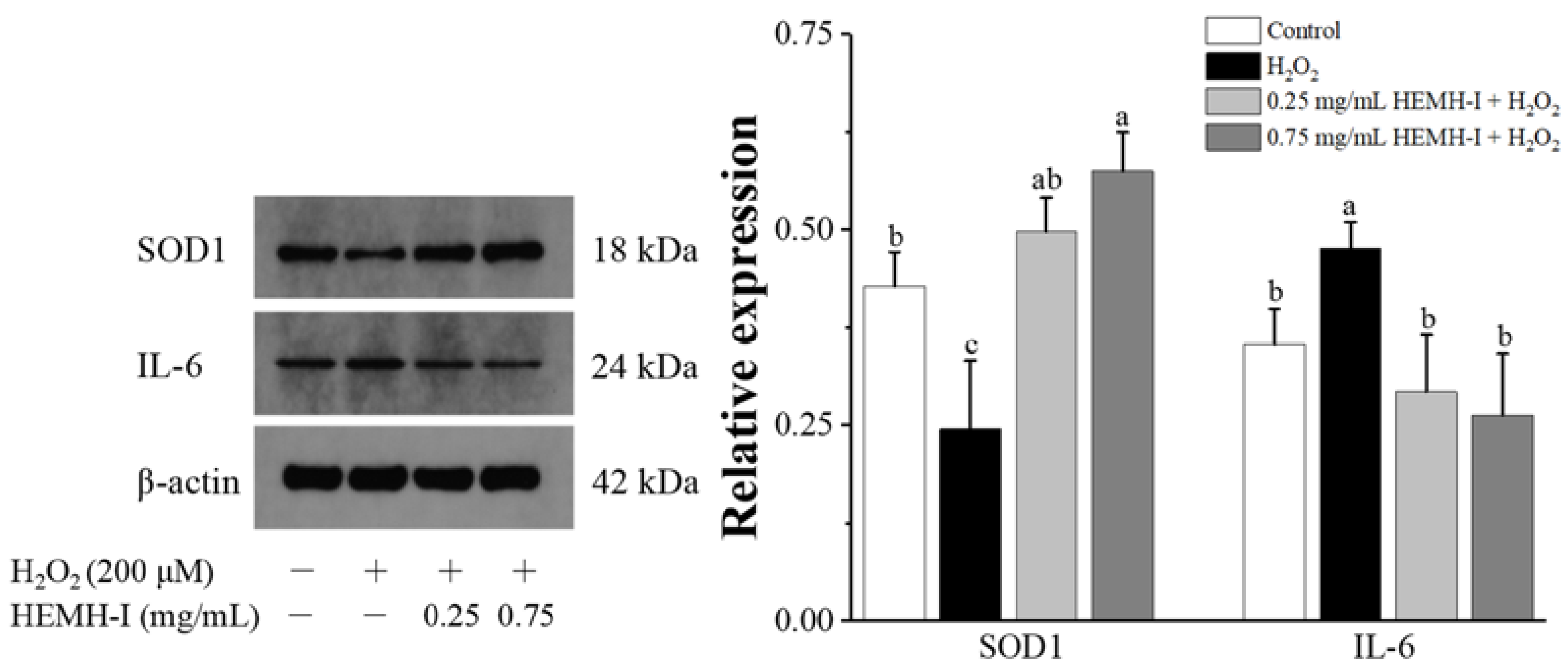 Antioxidants 11 02428 g007 Antioxidants 11 02428 g007