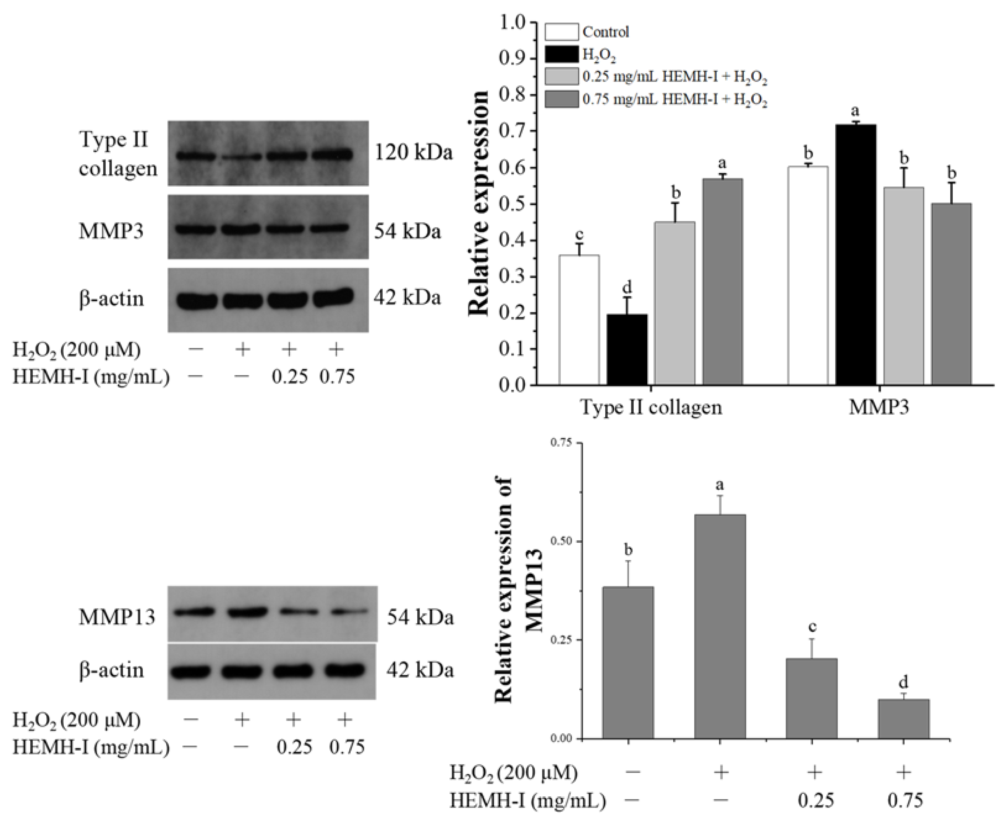 Antioxidants 11 02428 g008 Antioxidants 11 02428 g008