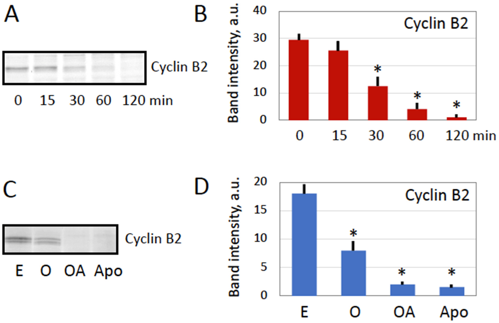 Antioxidants 11 02433 g002