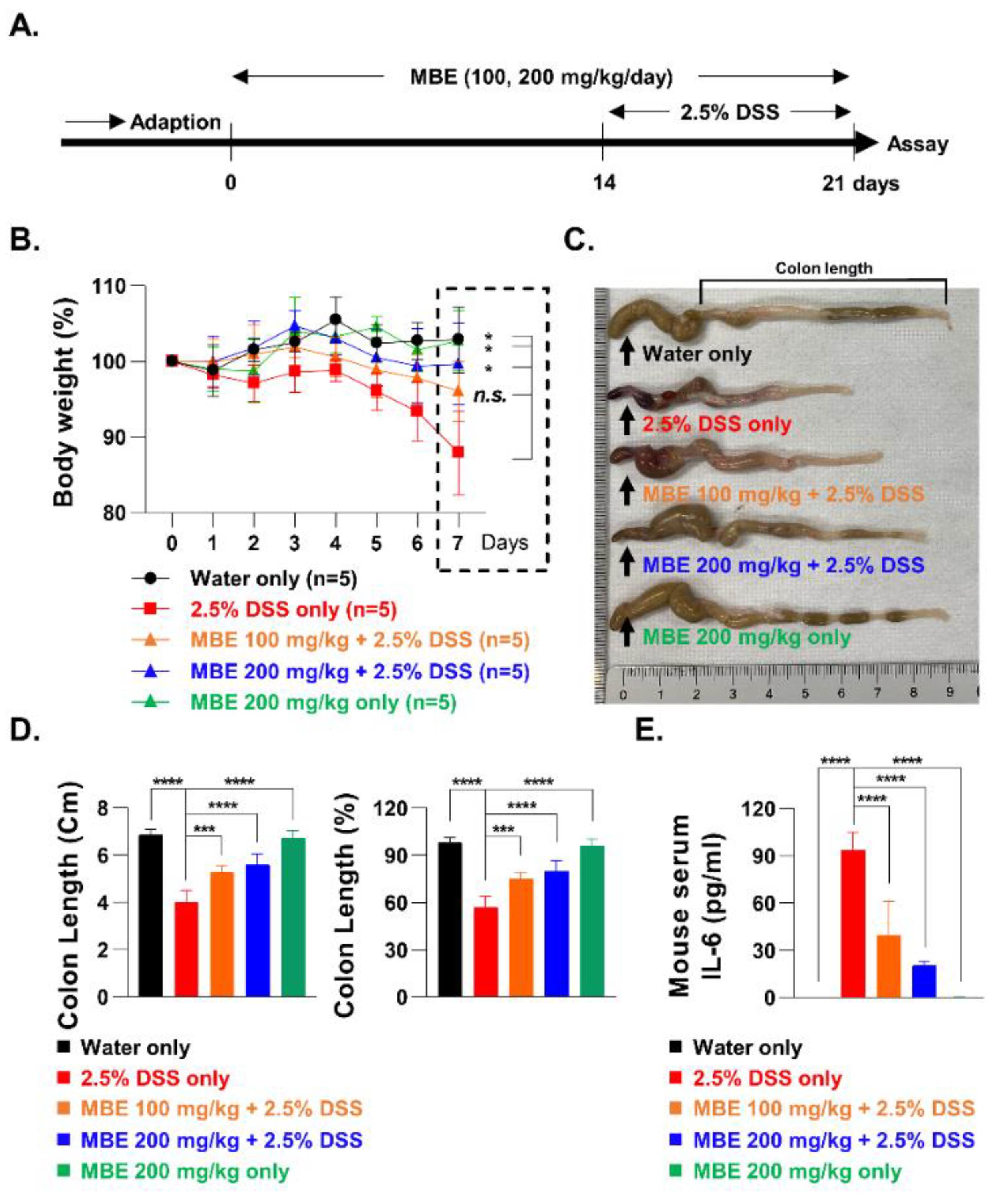 Antioxidants 11 02435 g001