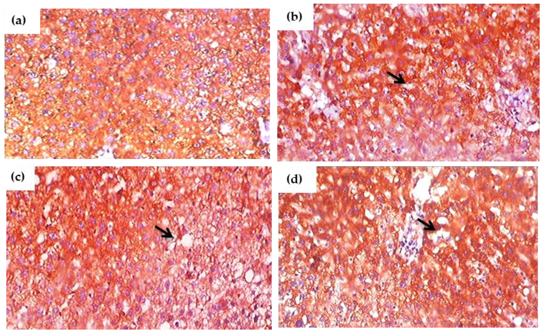 Antioxidants 11 02436 g010