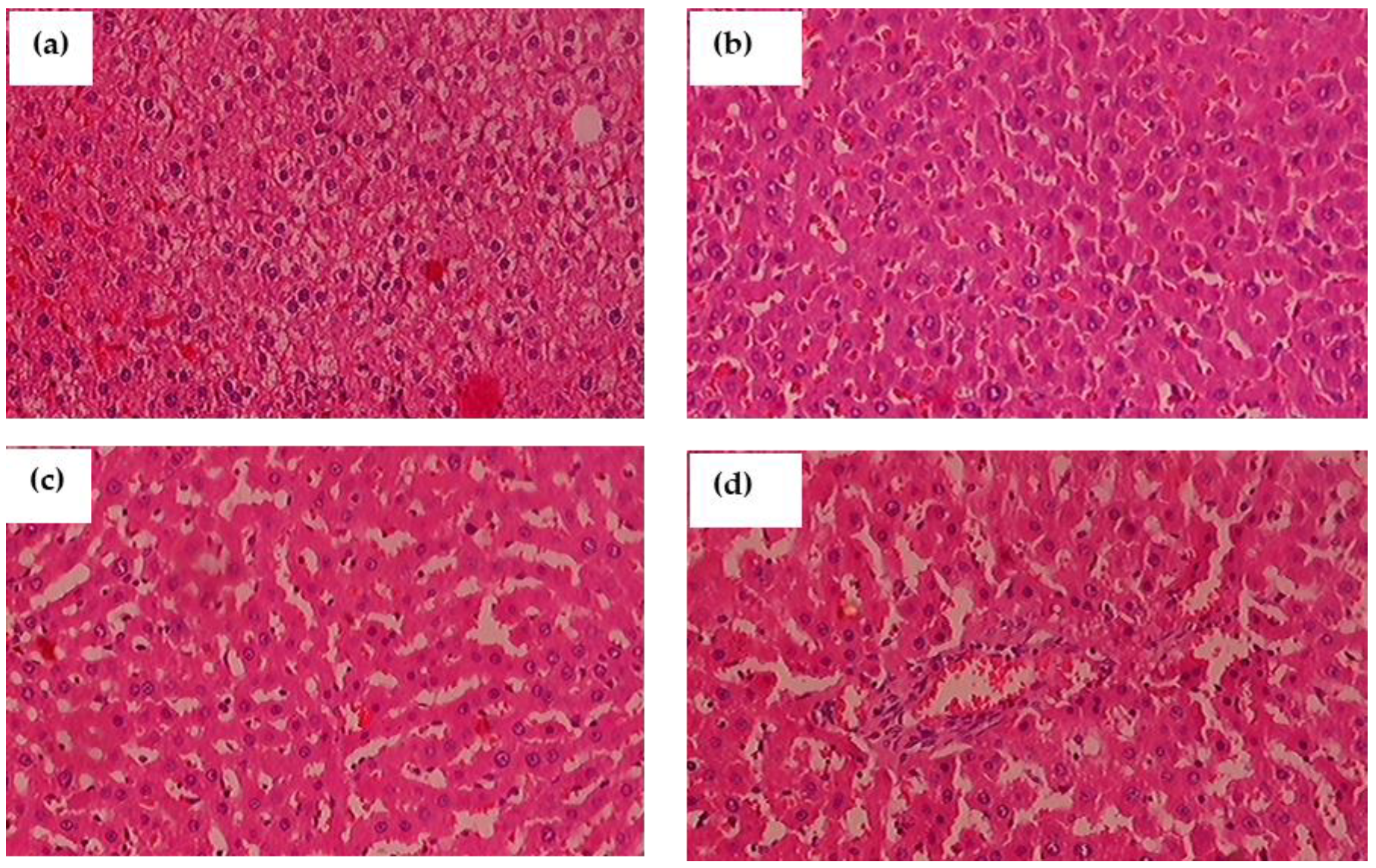 Antioxidants 11 02436 g012