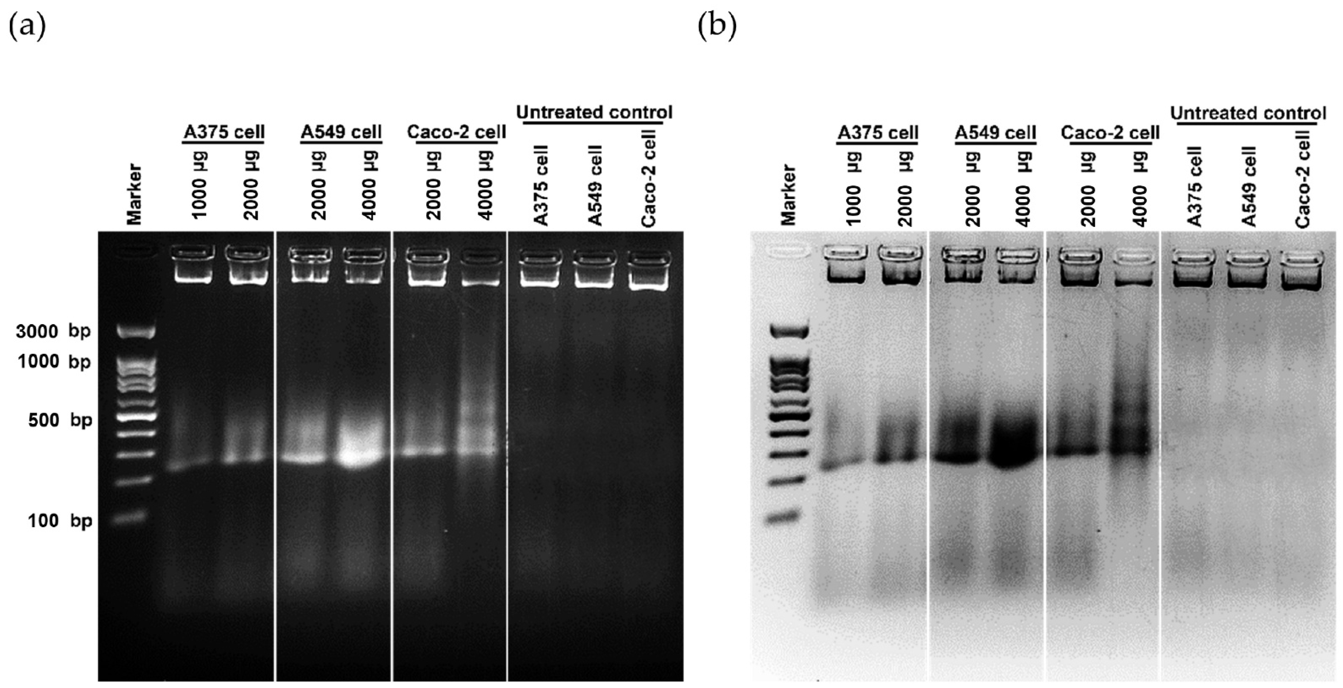 Antioxidants 11 02437 g006