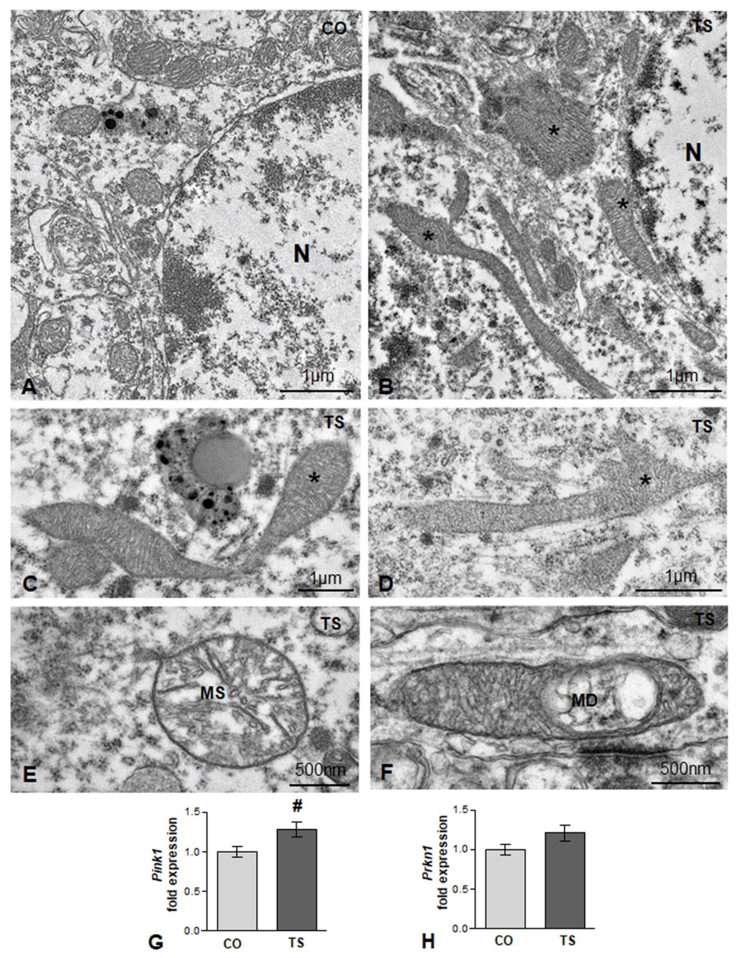 Antioxidants 11 02438 g002