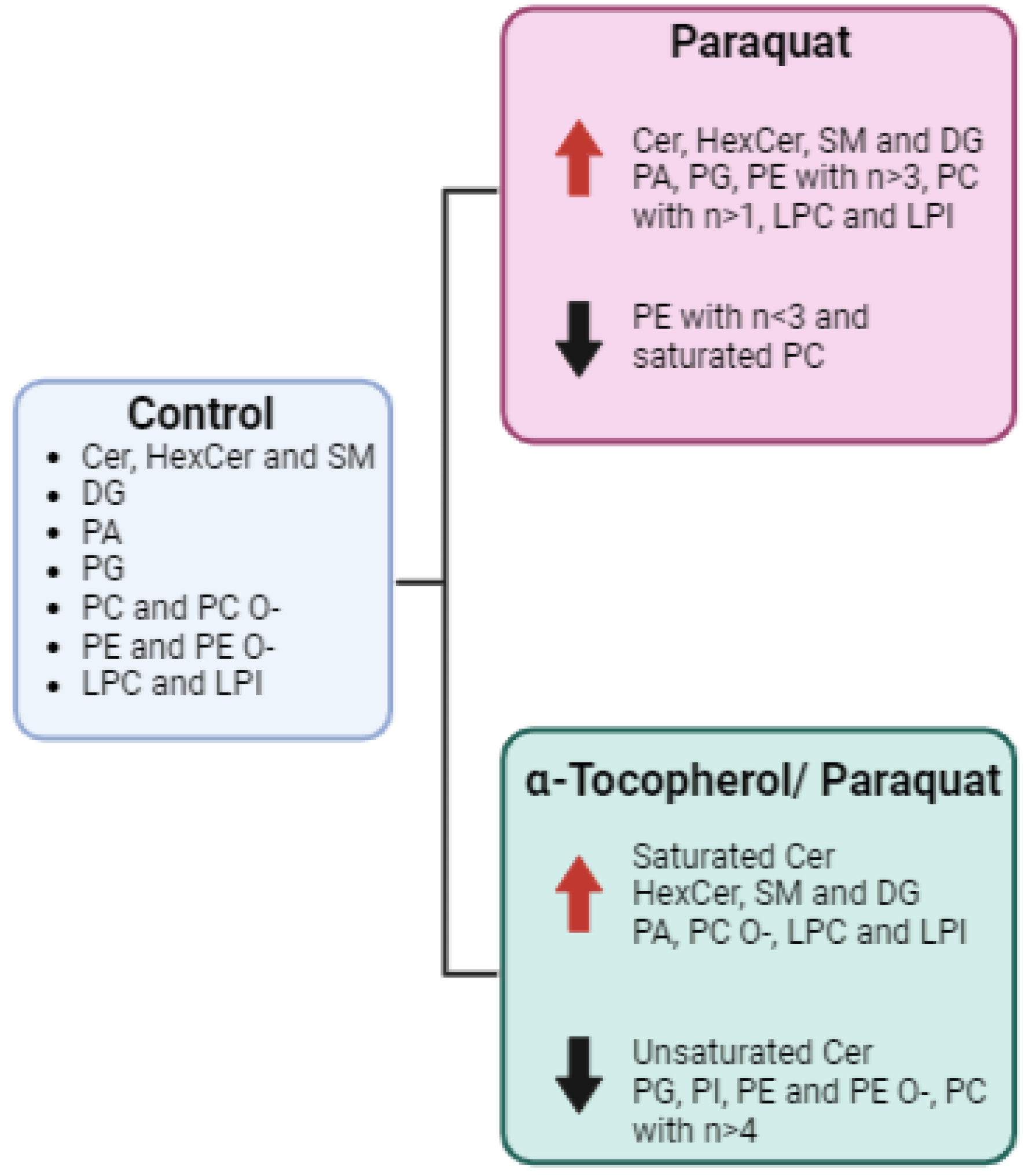 Antioxidants 11 02440 g004