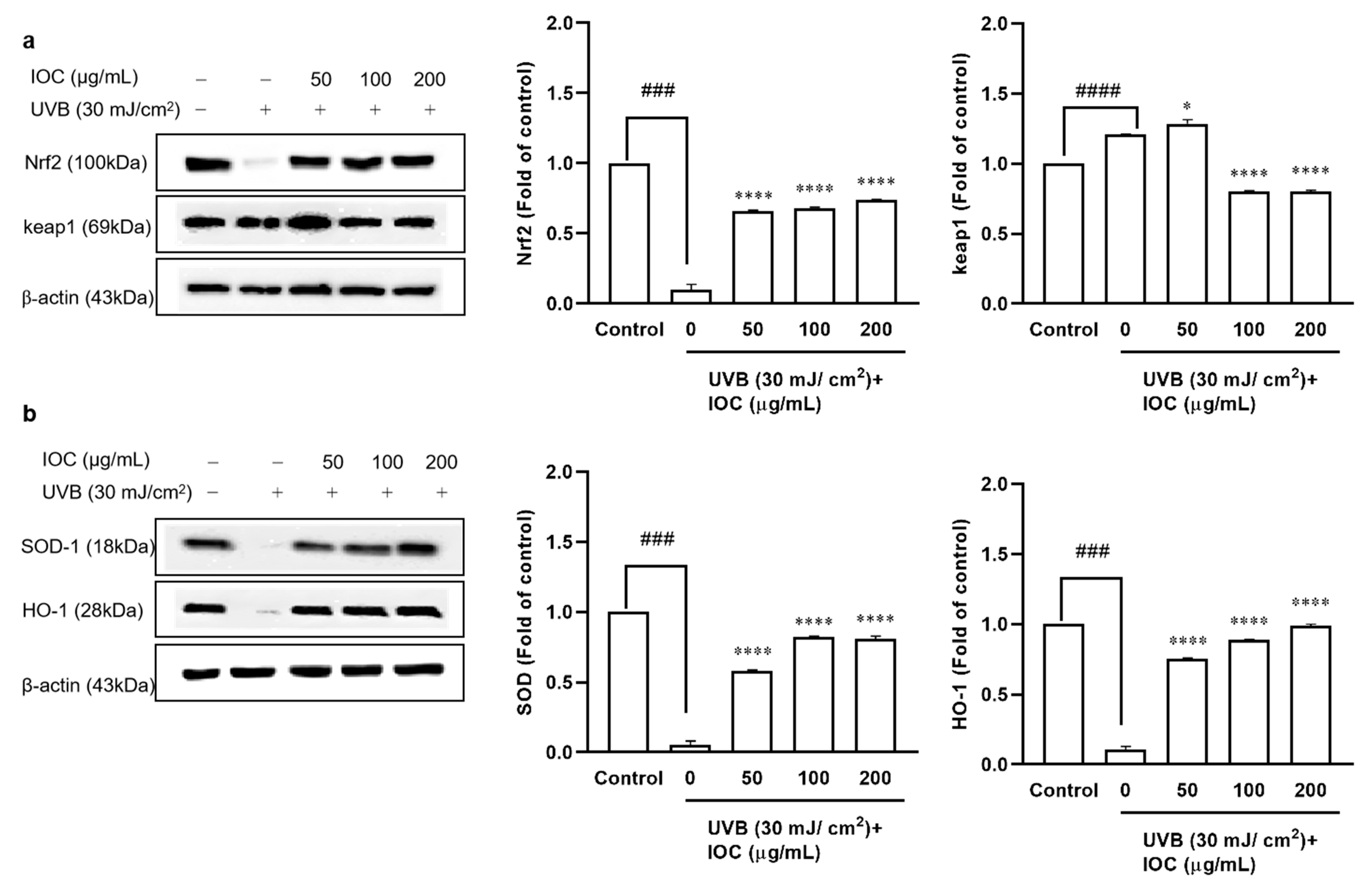 Antioxidants 11 02442 g006