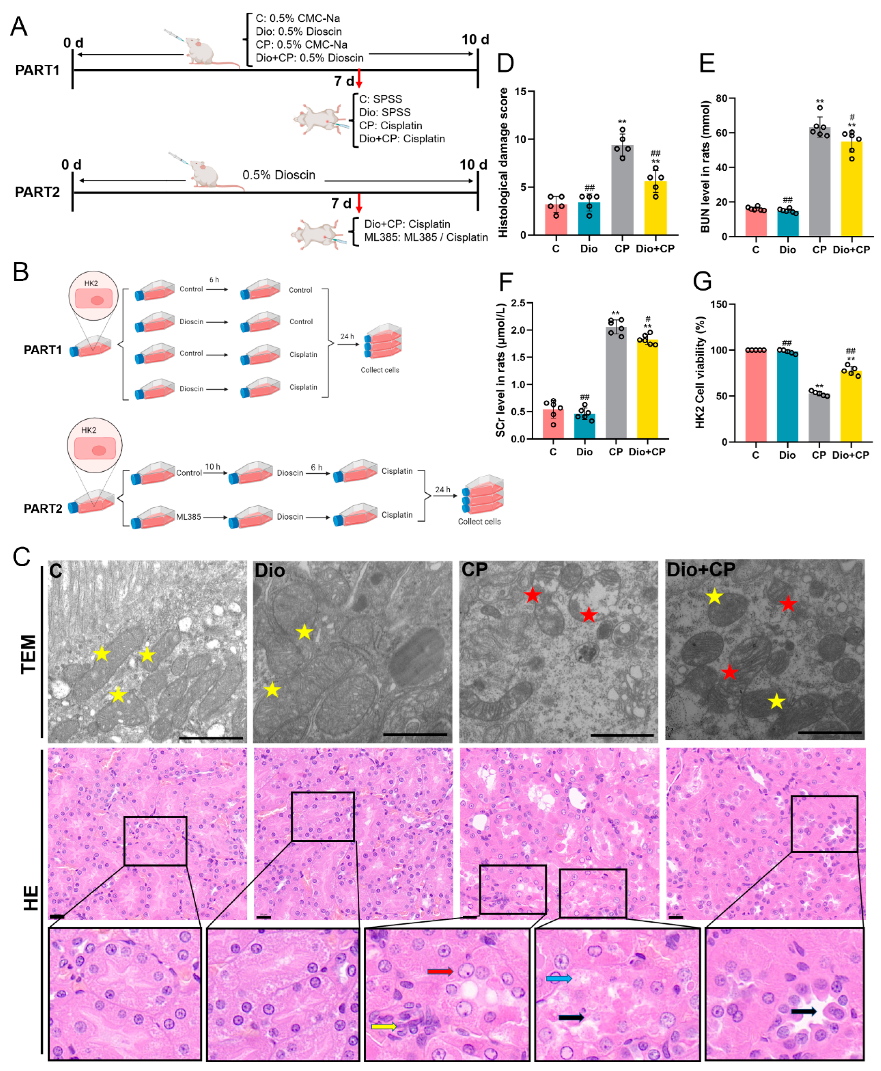 Antioxidants 11 02443 g001