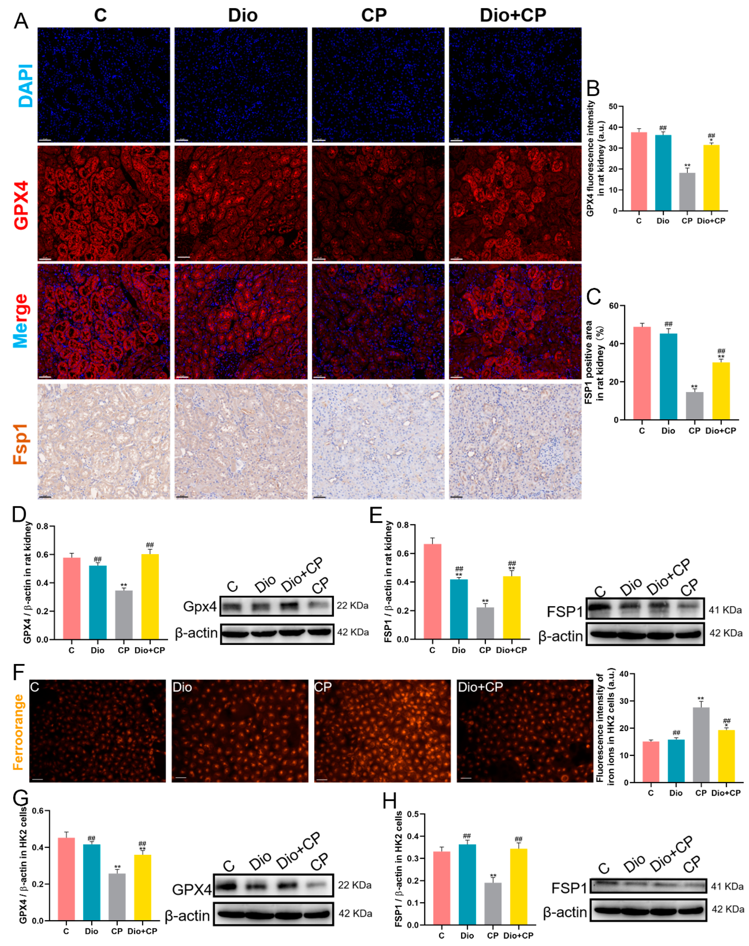 Antioxidants 11 02443 g004