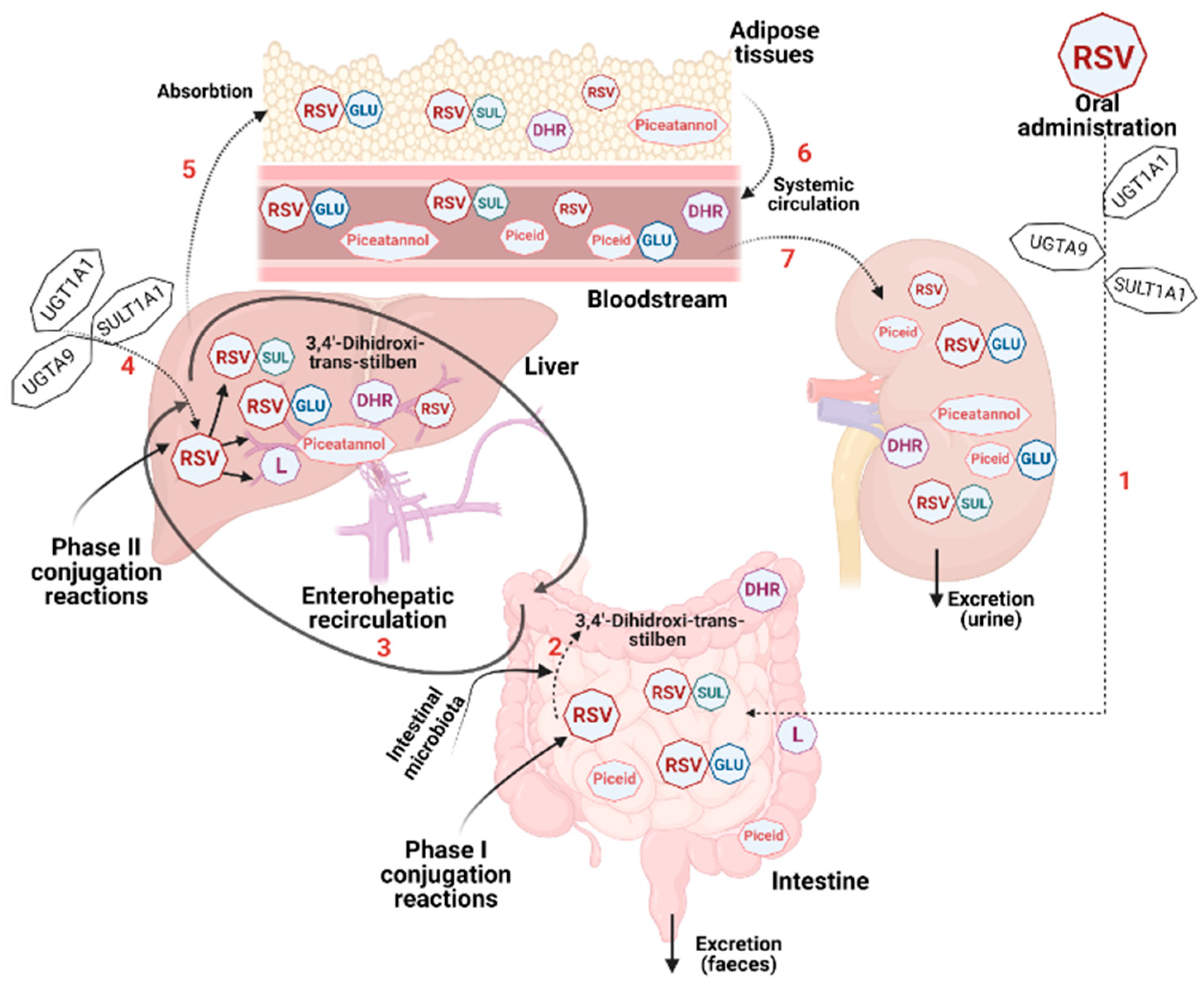 Antioxidants 11 02447 g003