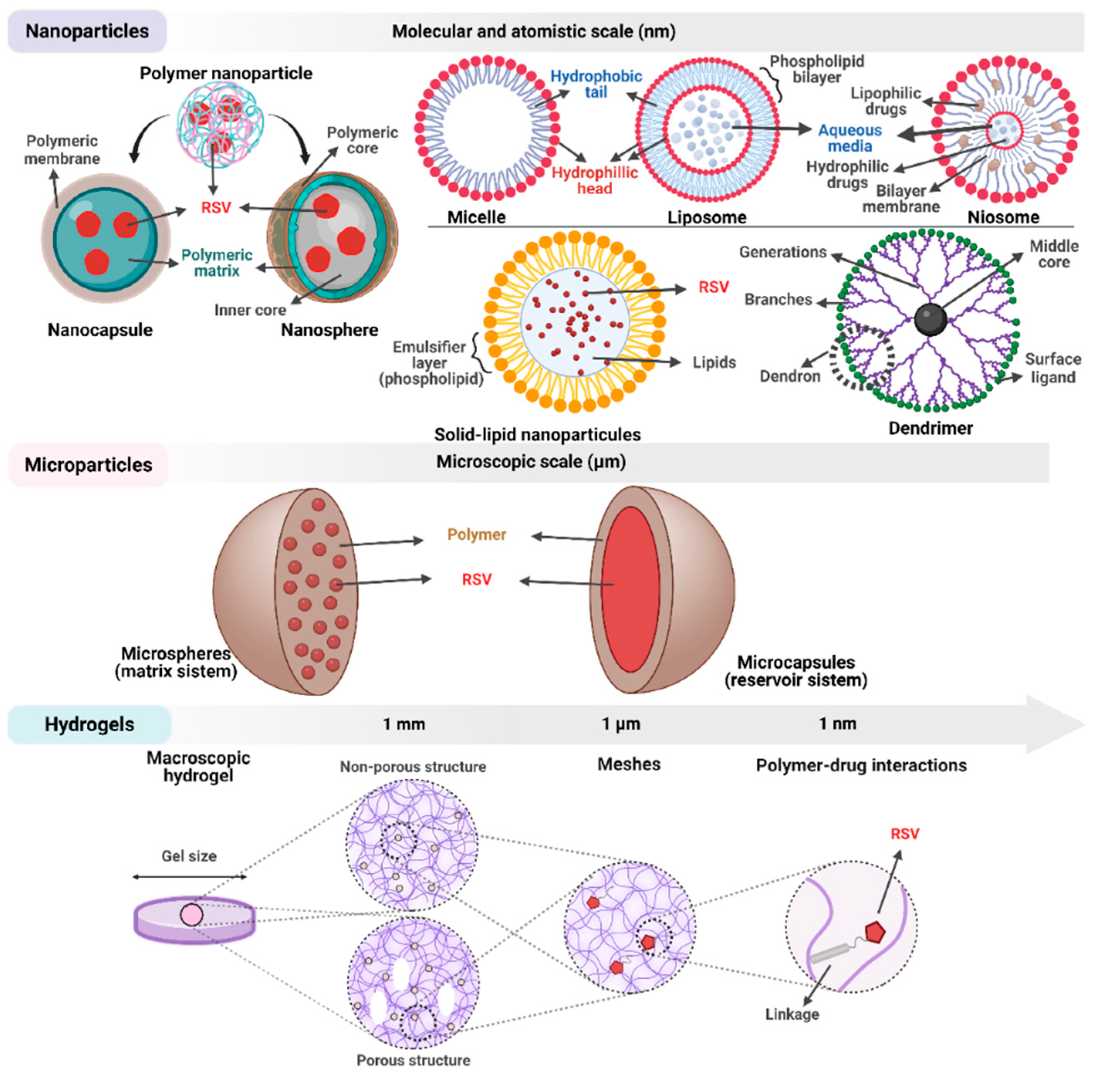 Antioxidants 11 02447 g006