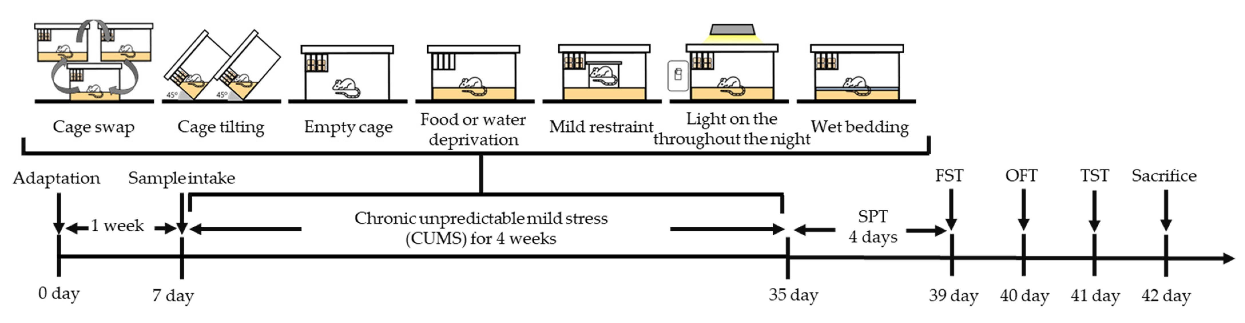Antioxidants 11 02448 g001