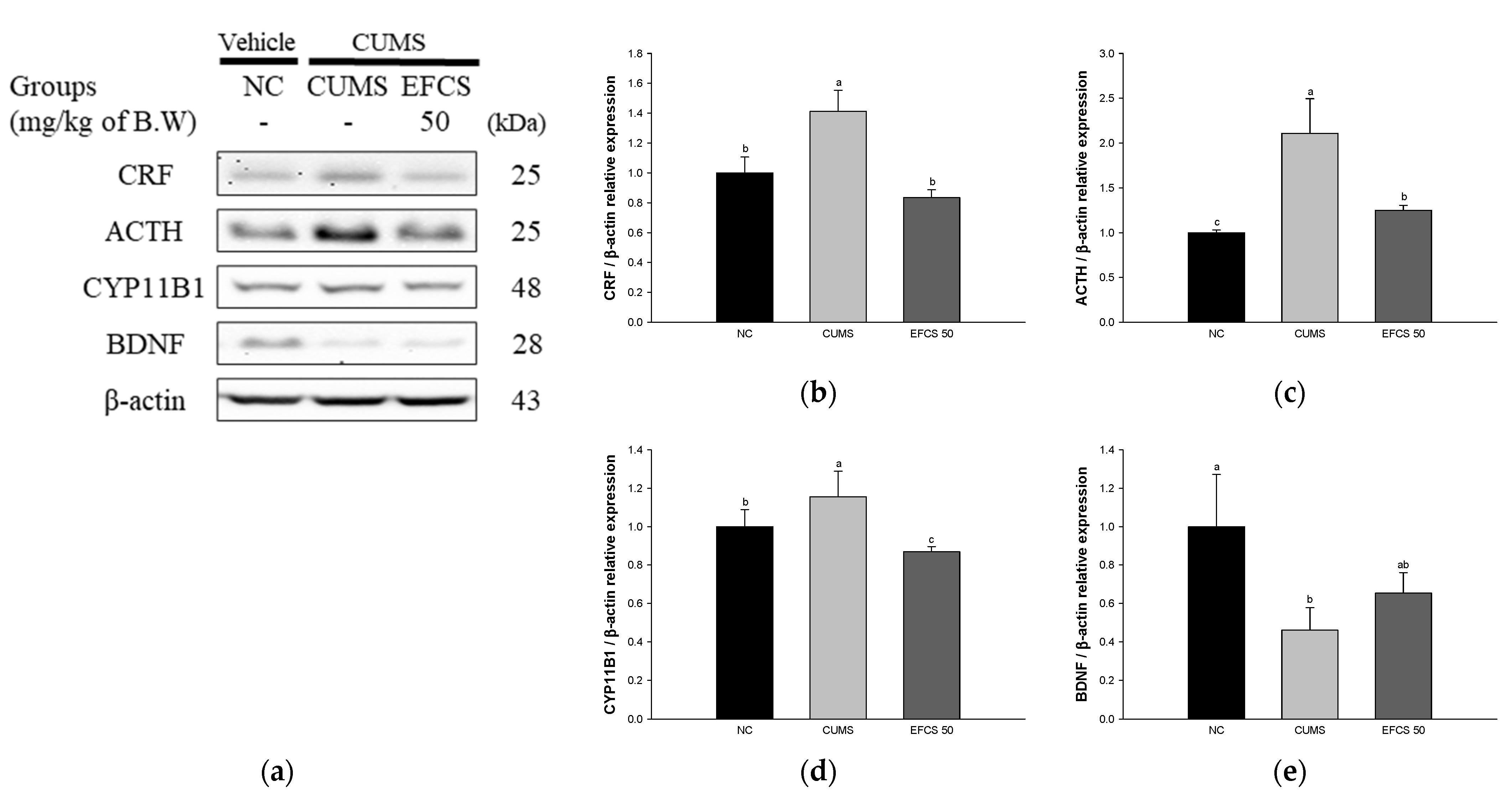 Antioxidants 11 02448 g007
