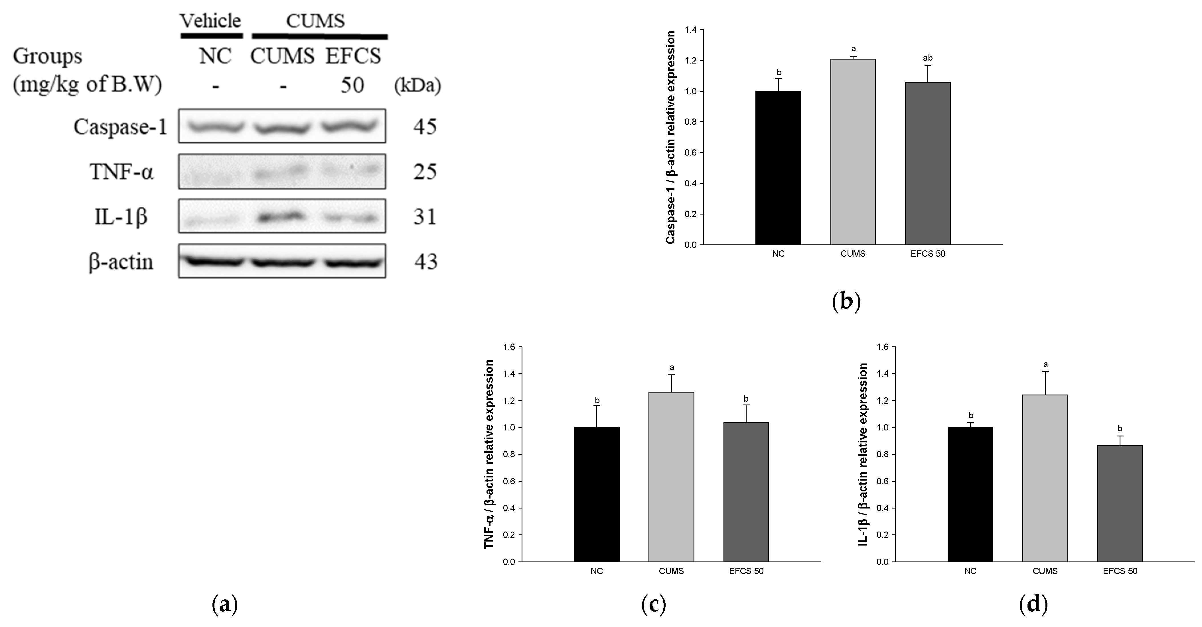 Antioxidants 11 02448 g008