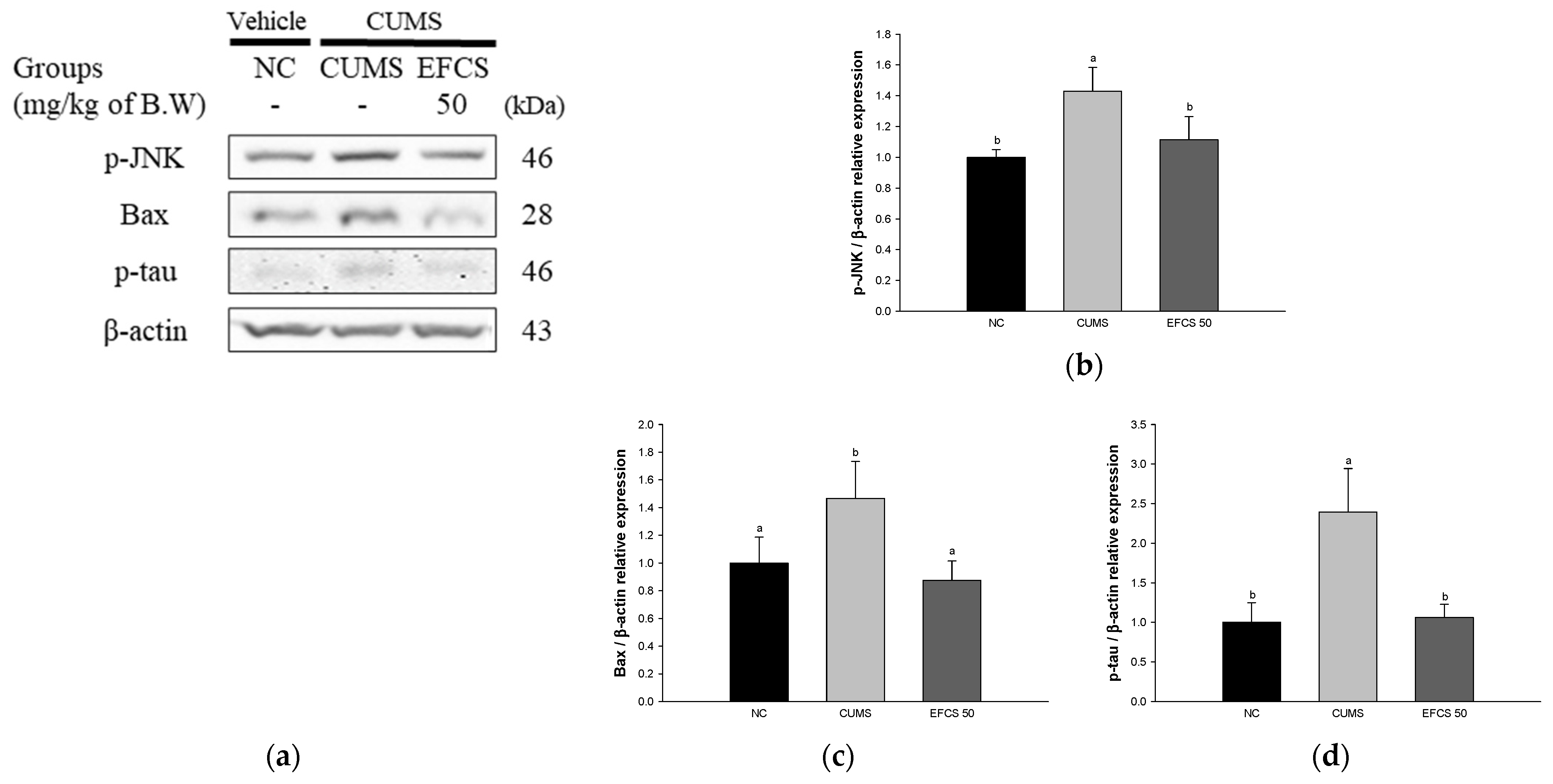 Antioxidants 11 02448 g009
