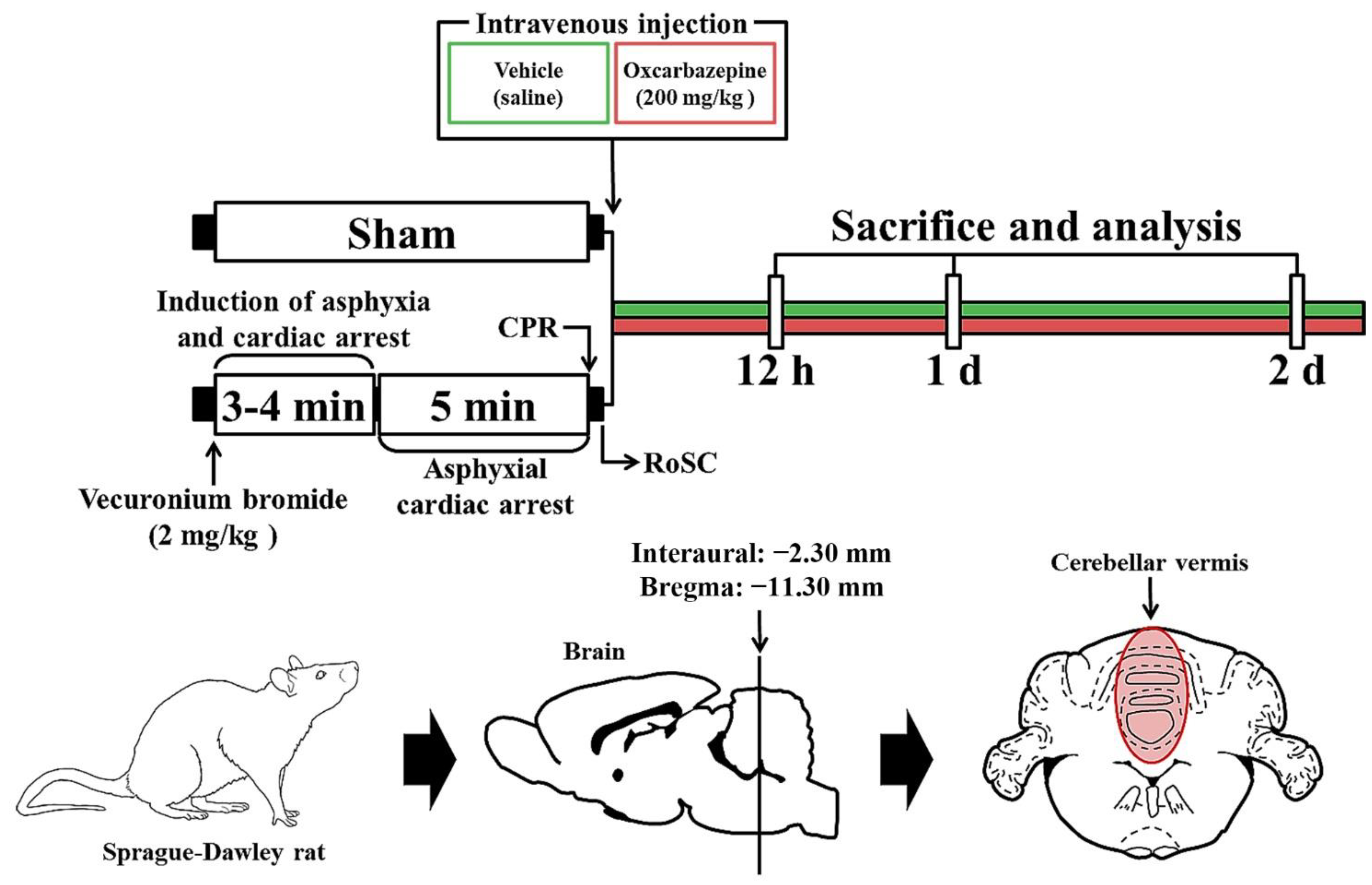 Antioxidants 11 02450 g001