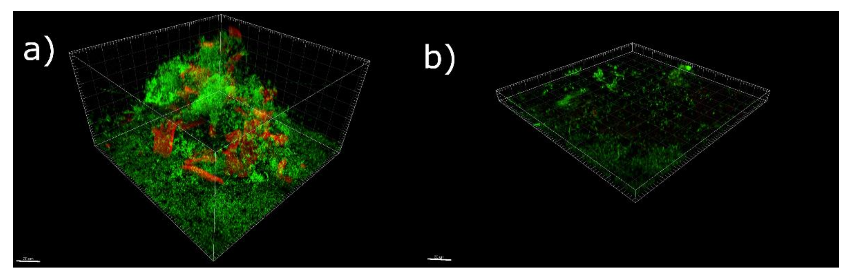 Antioxidants 11 02451 g001