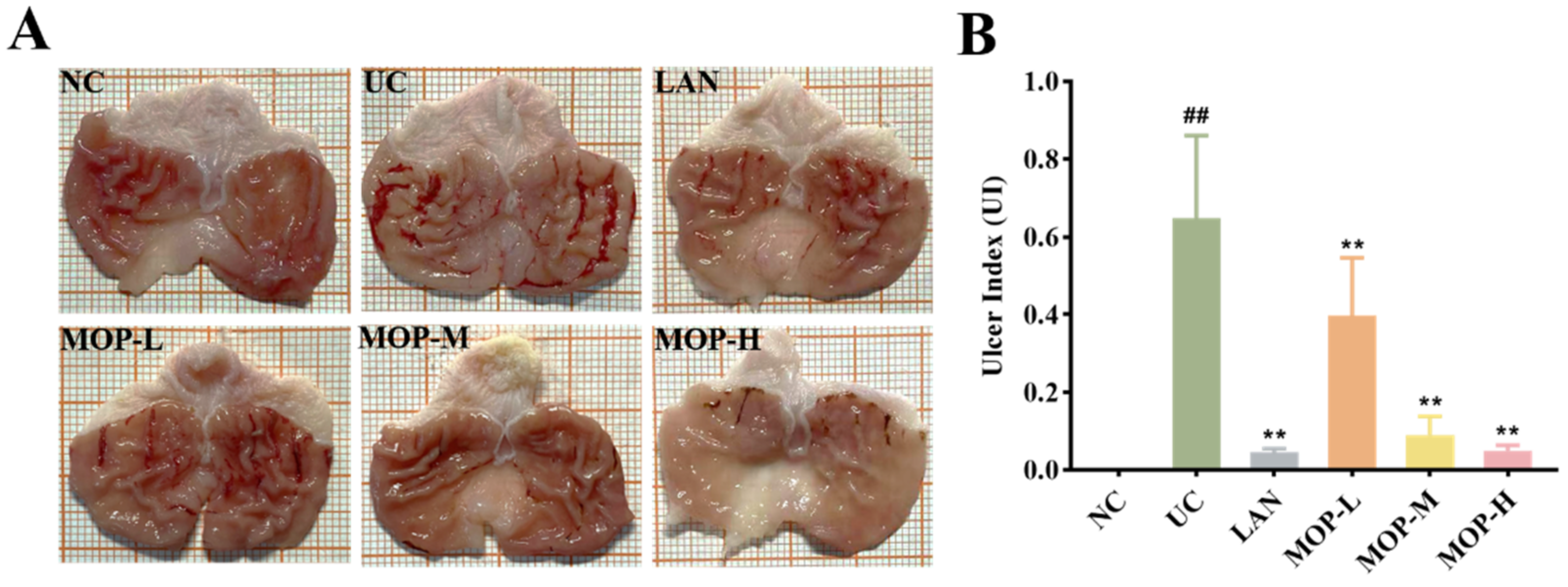 Antioxidants 11 02452 g003a