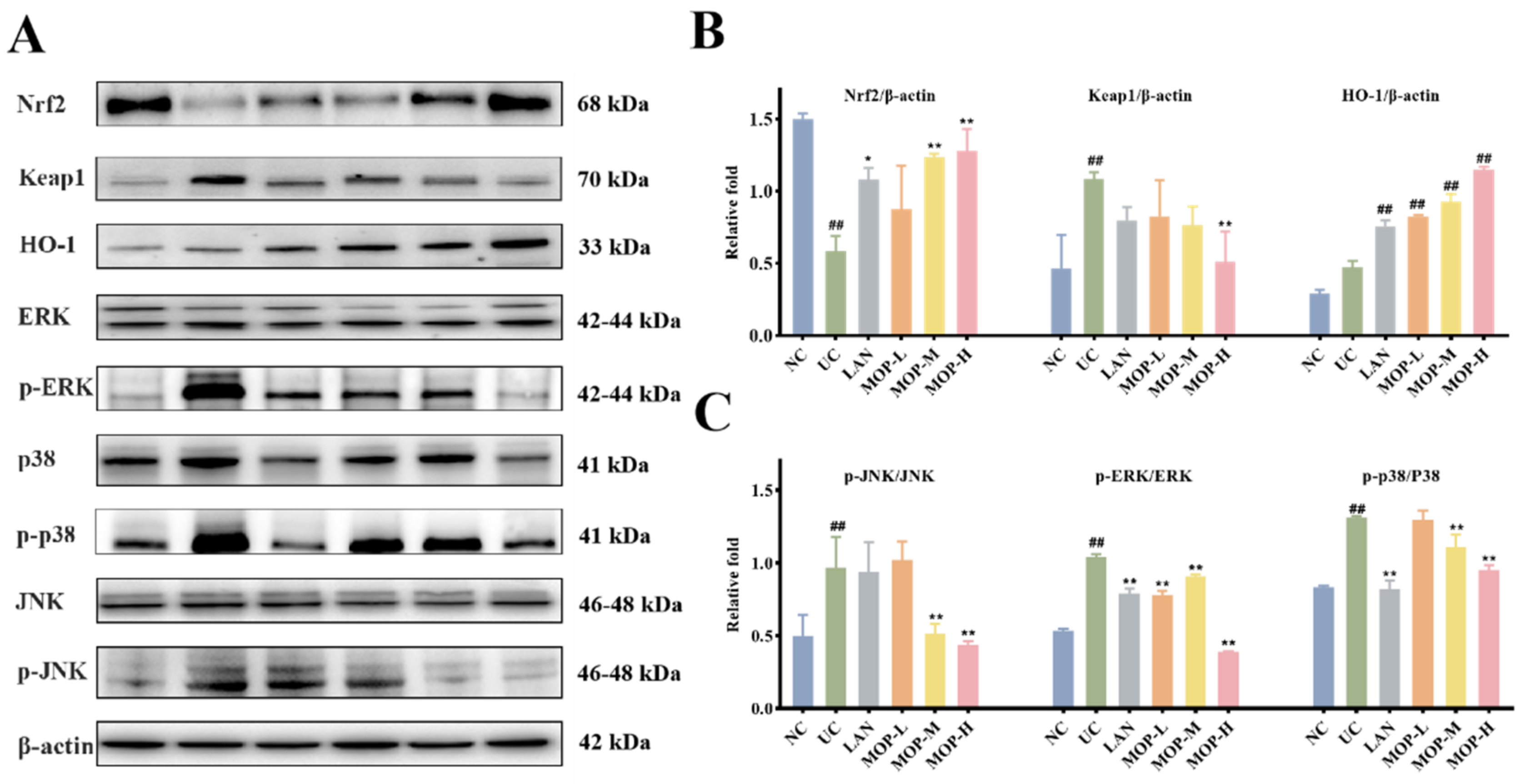 Antioxidants 11 02452 g006