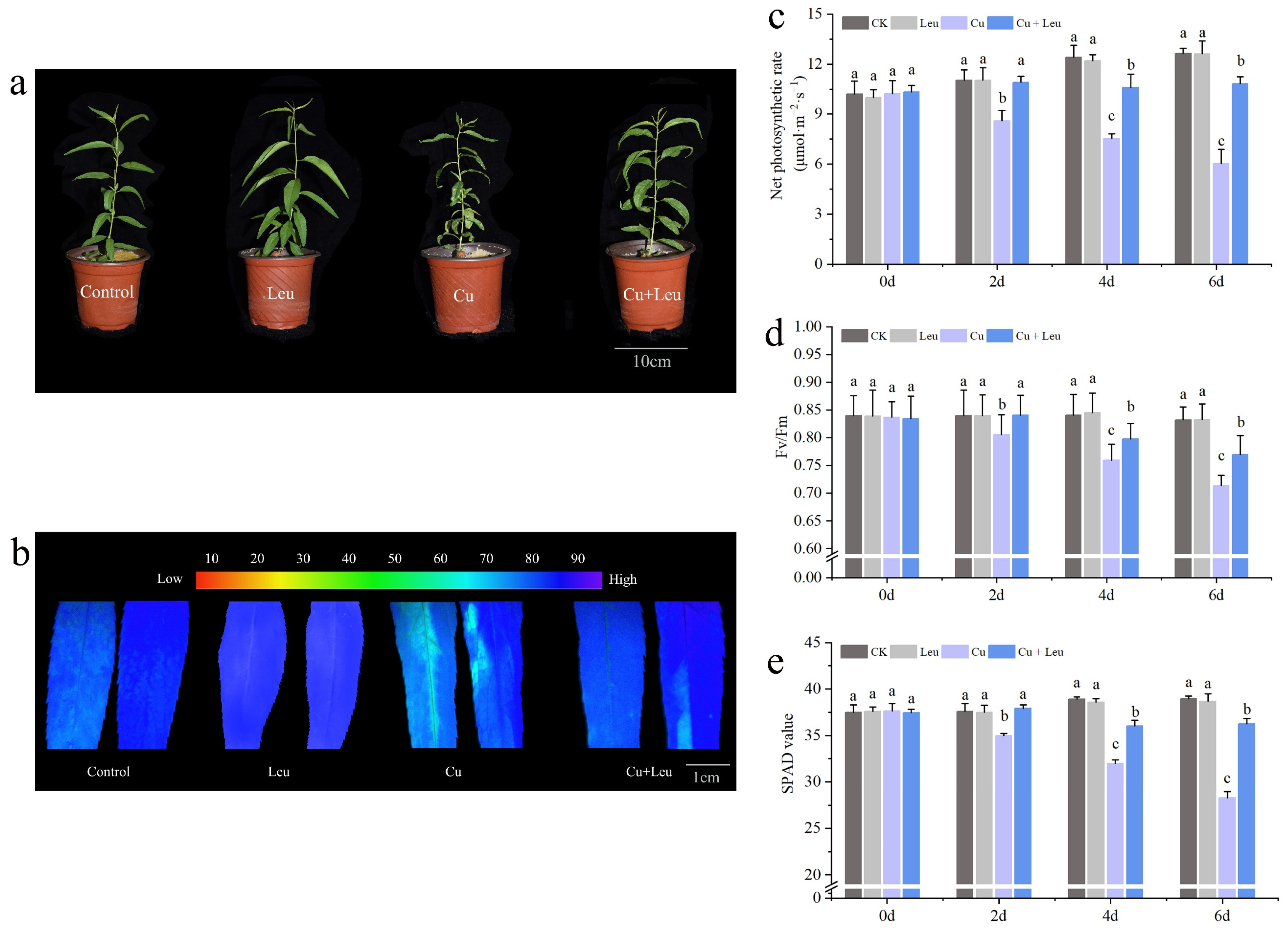 Antioxidants 11 02455 g001