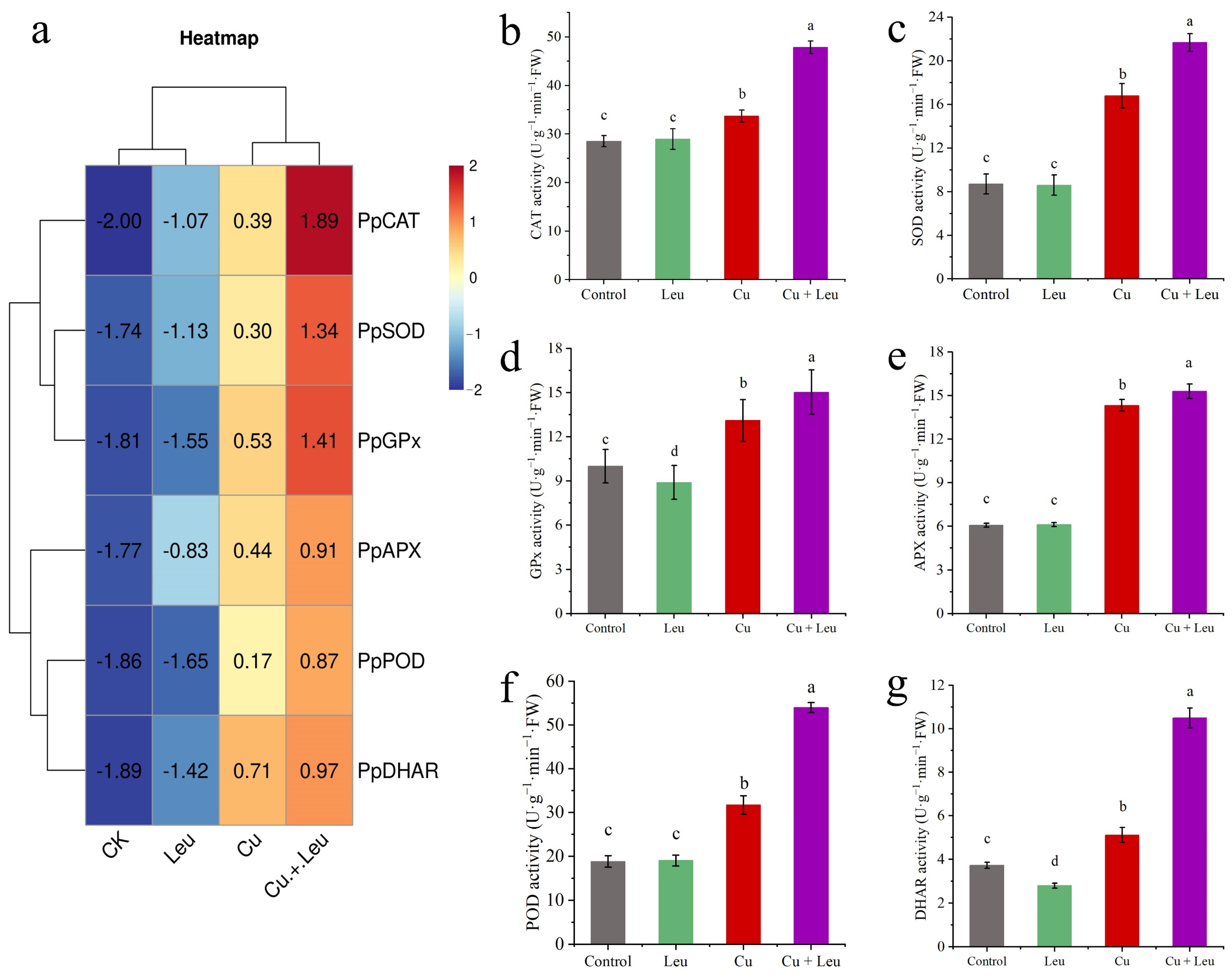 Antioxidants 11 02455 g003