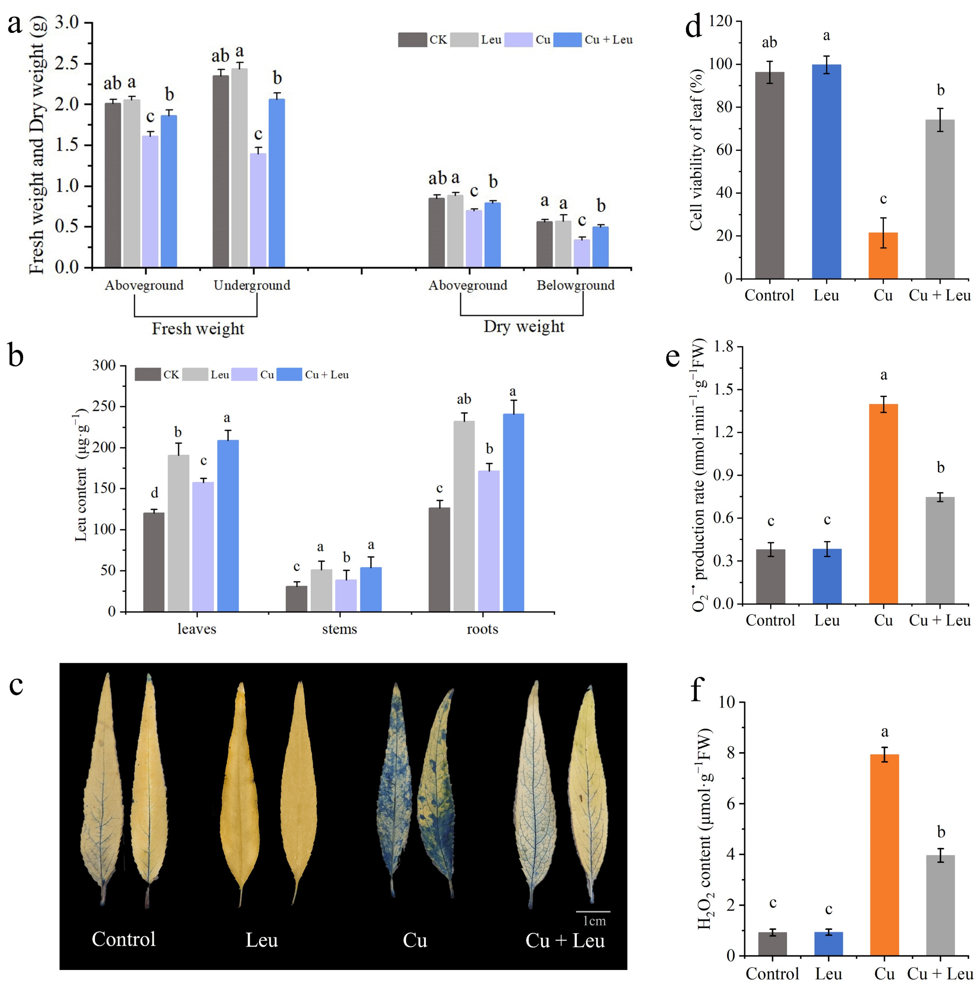 Antioxidants 11 02455 g004