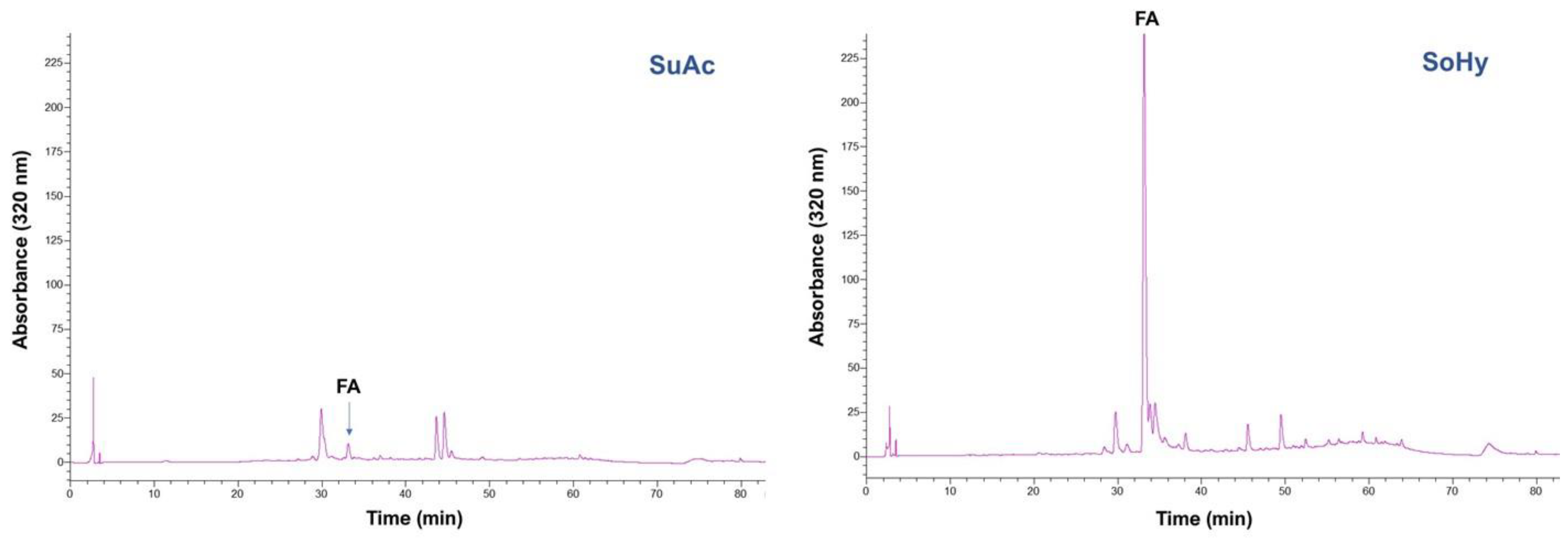 Antioxidants 11 02457 g007b