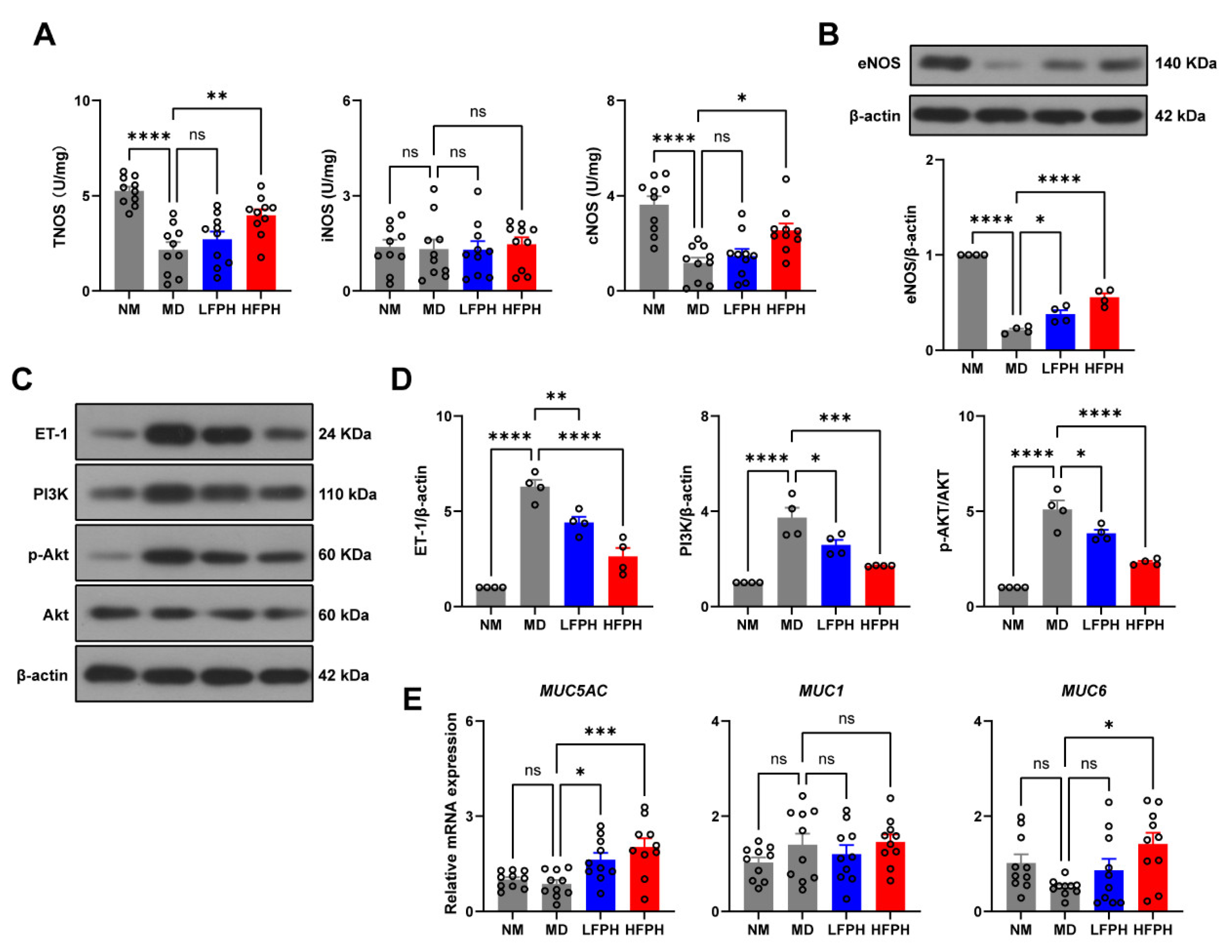 Antioxidants 11 02459 g005