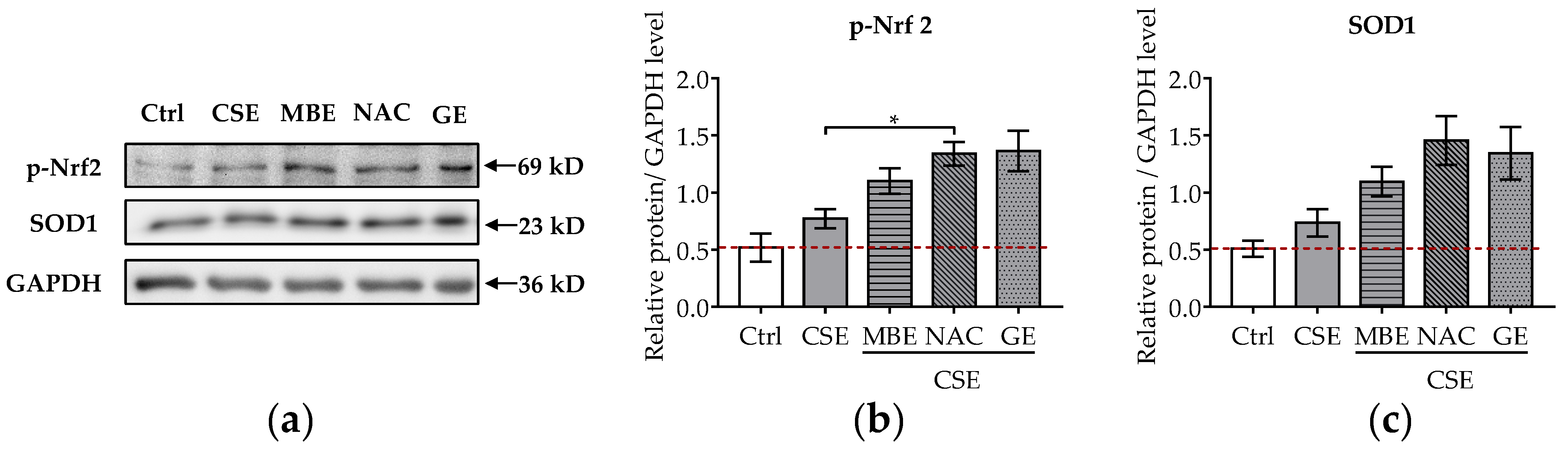 Antioxidants 11 02460 g005