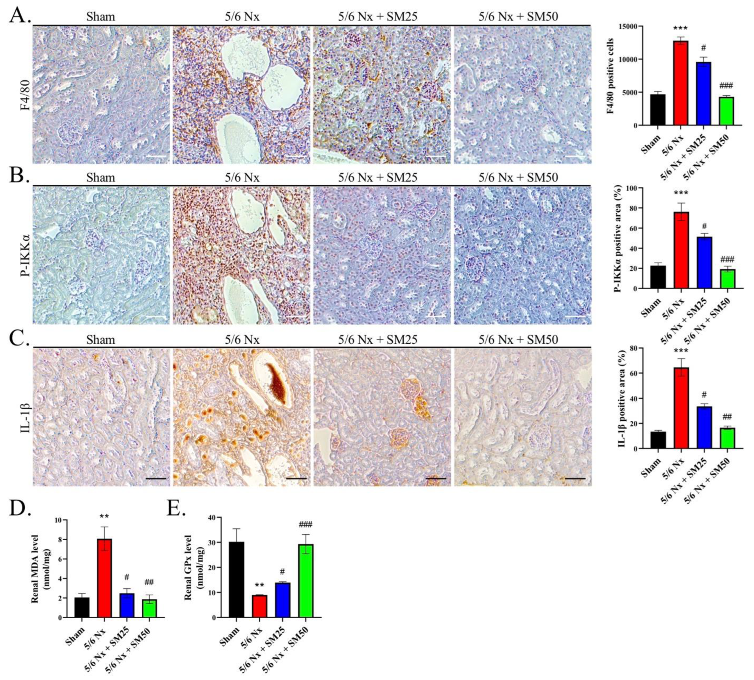 Antioxidants 11 02461 g002