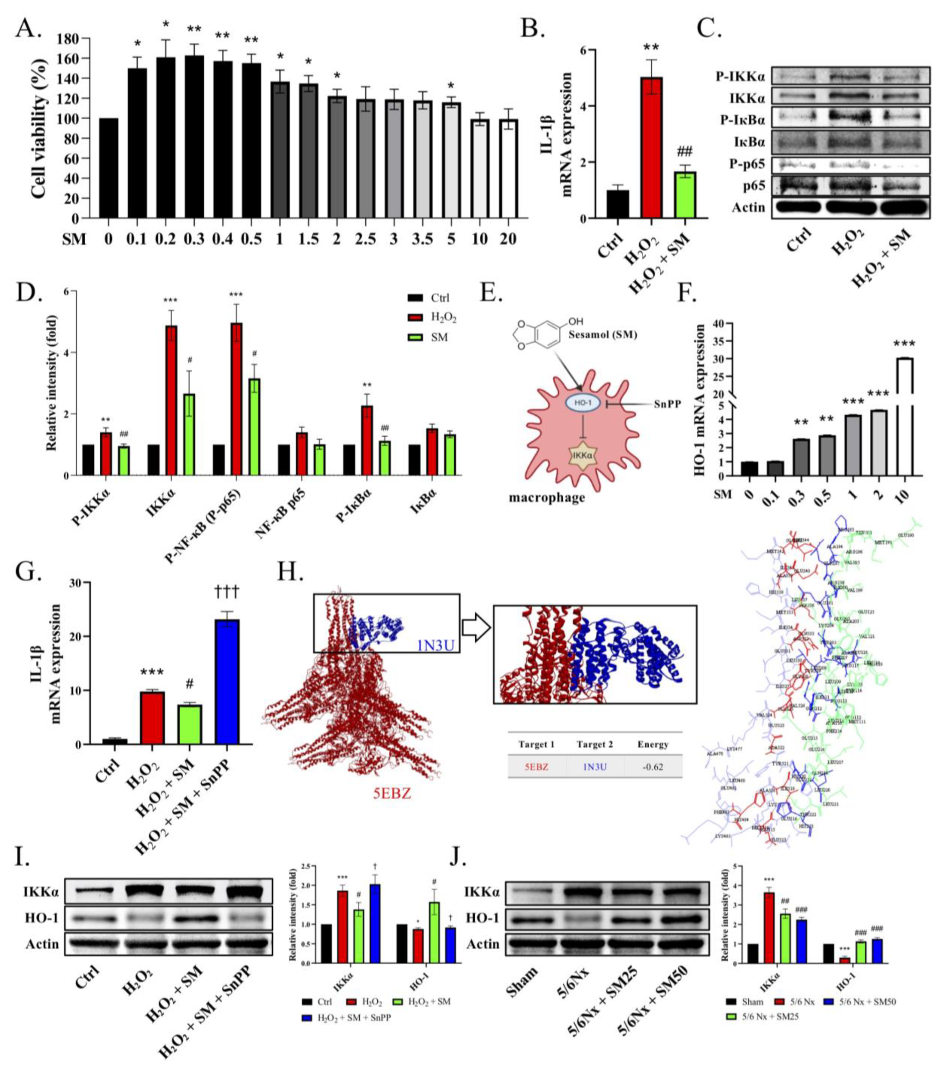 Antioxidants 11 02461 g005