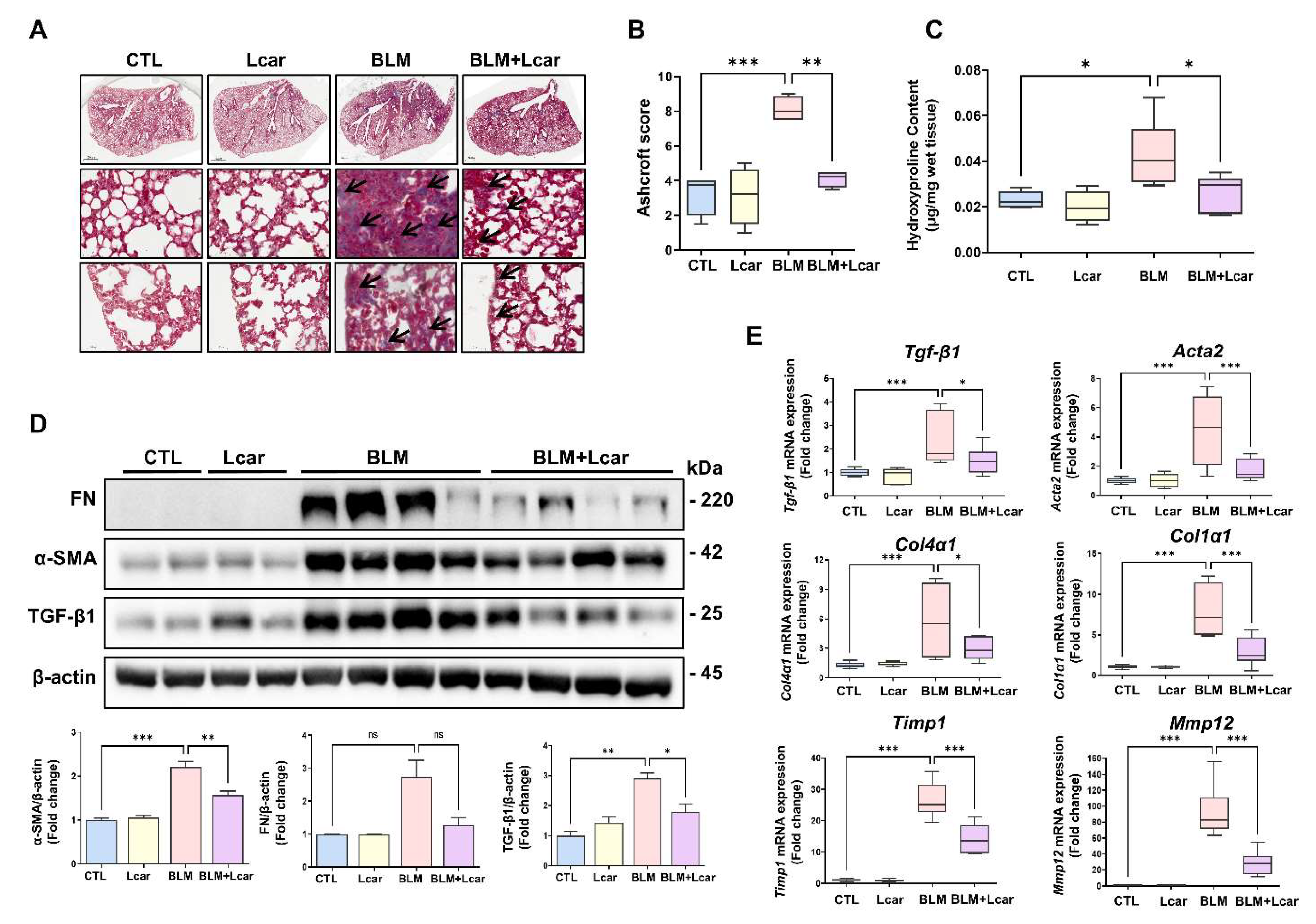 Antioxidants 11 02462 g002