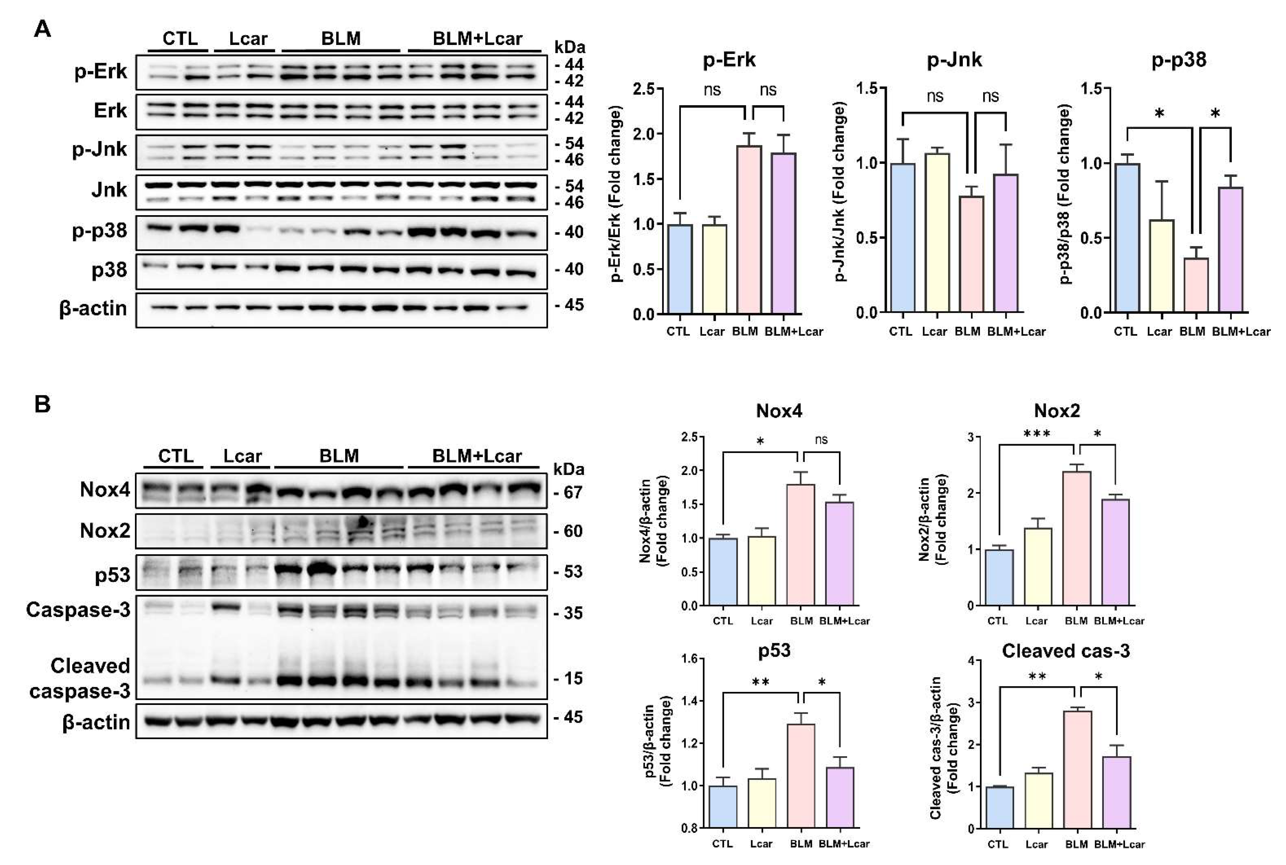 Antioxidants 11 02462 g003