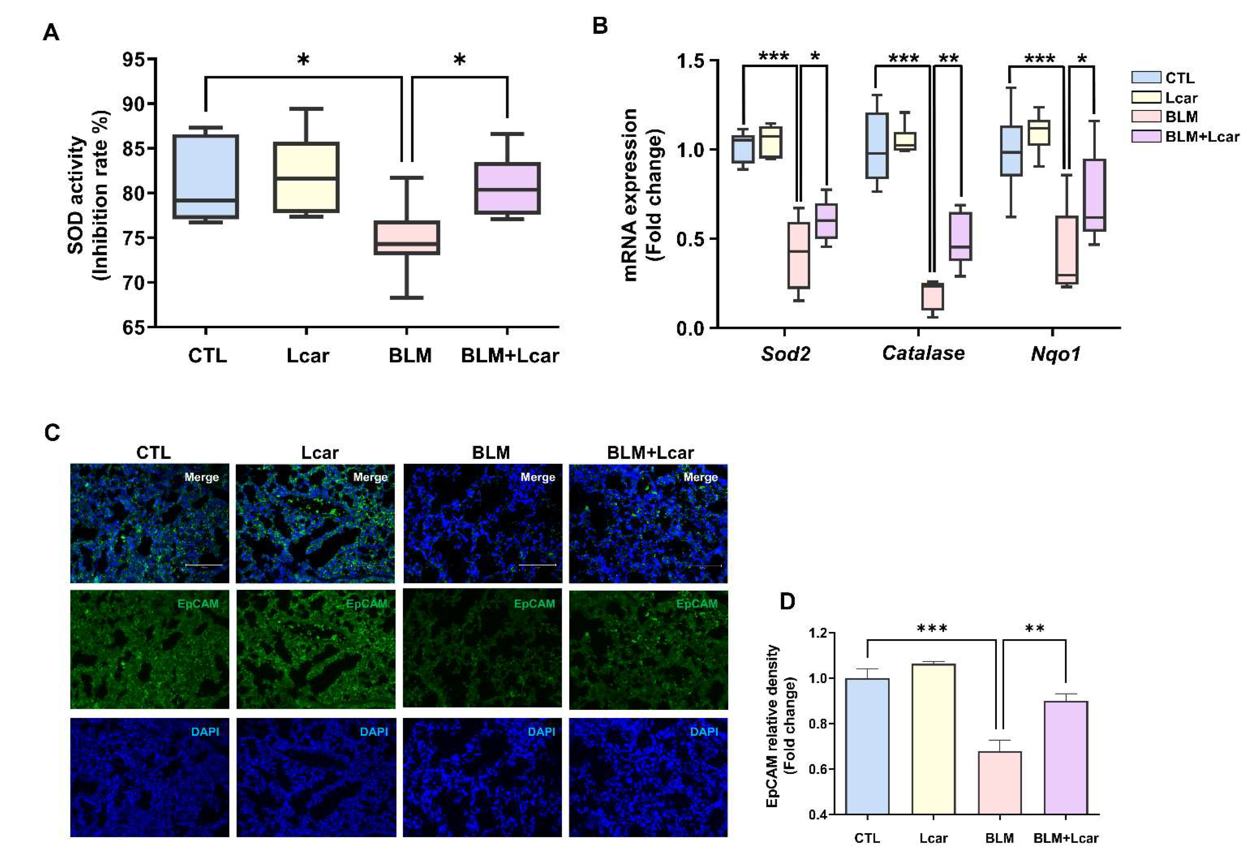 Antioxidants 11 02462 g004
