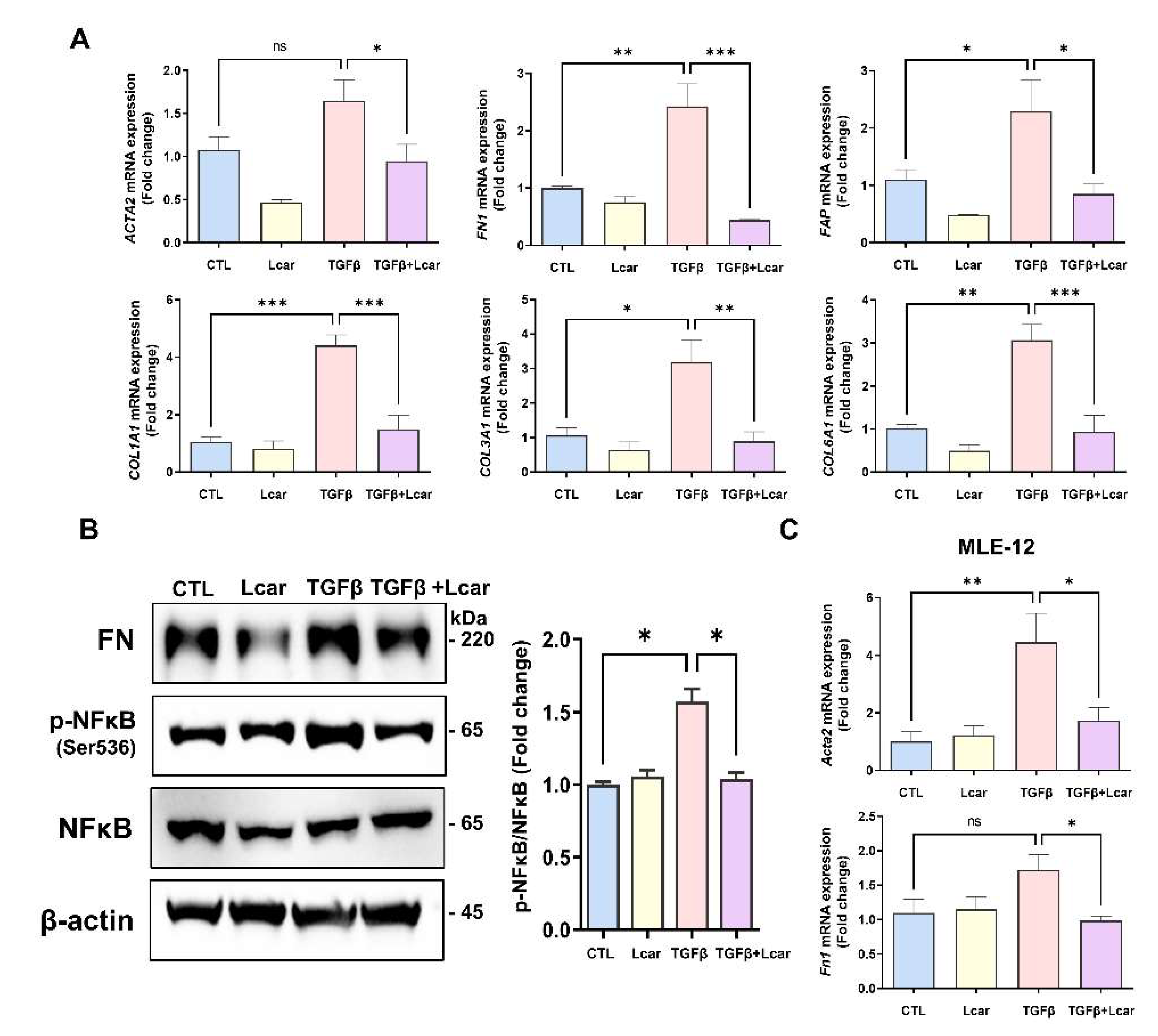 Antioxidants 11 02462 g005