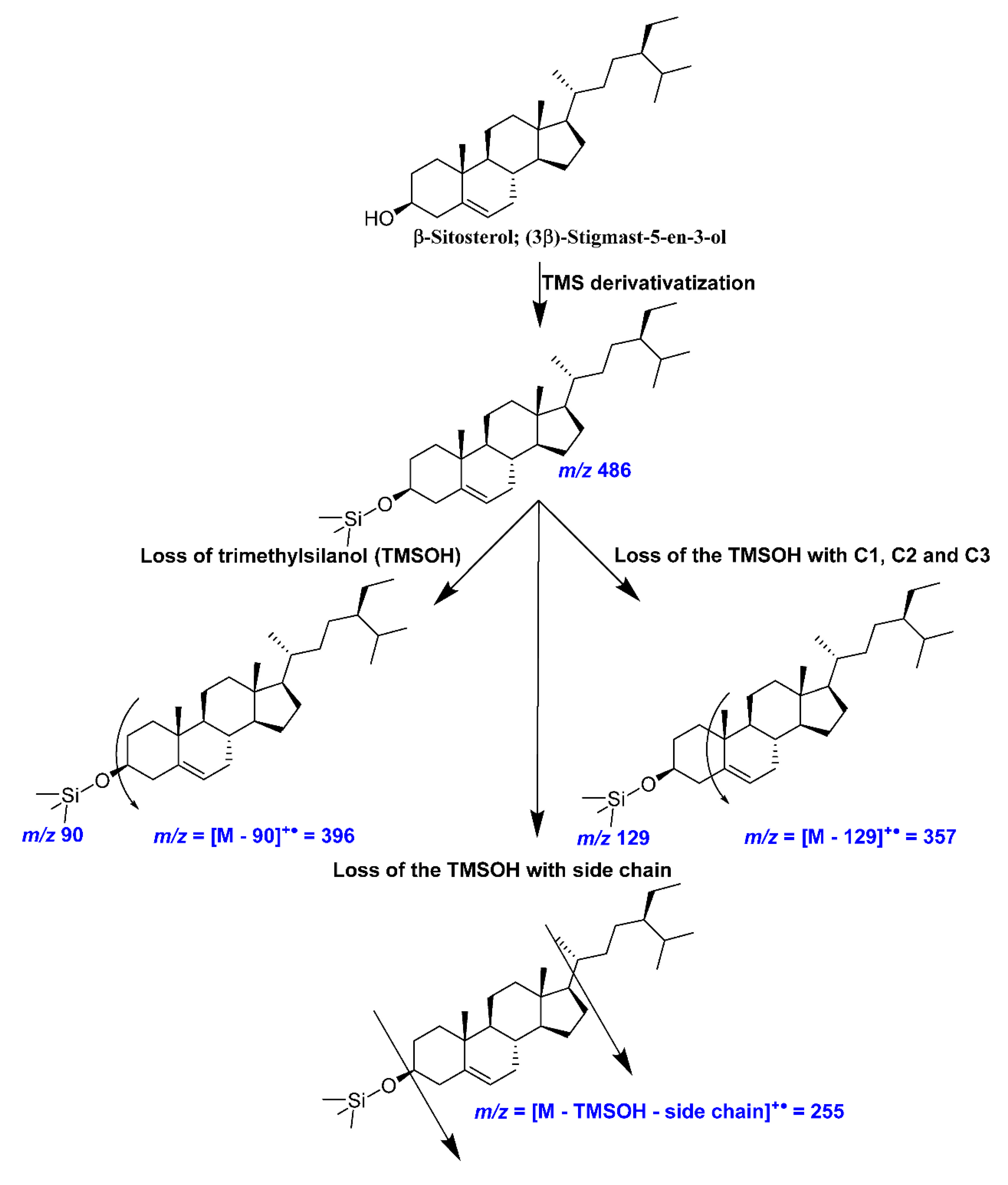 Antioxidants 11 02464 g0a4 Antioxidants 11 02464 g0a4