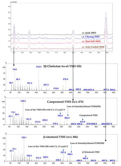Antioxidants 11 02464 g0a5 Antioxidants 11 02464 g0a5