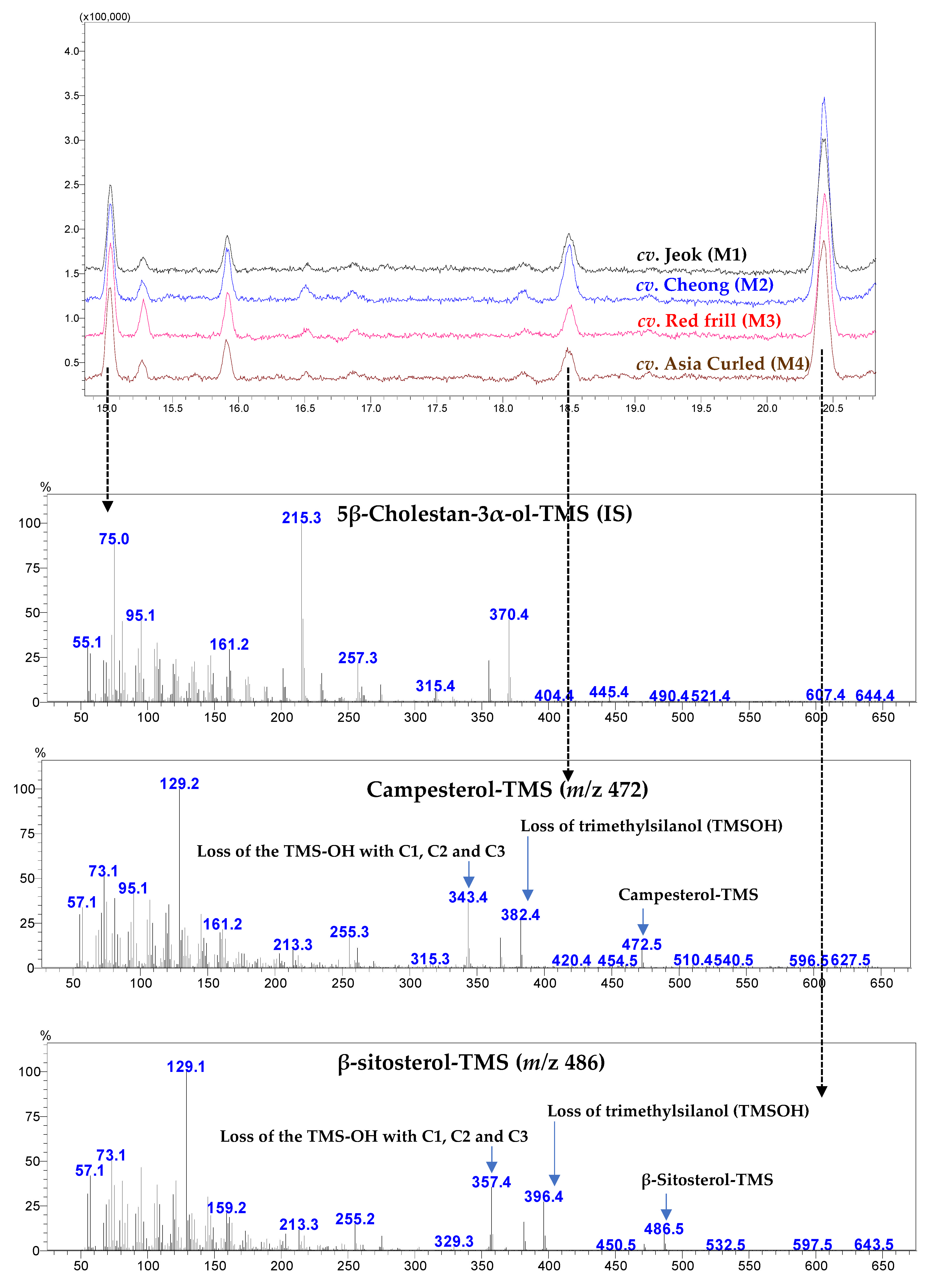 Antioxidants 11 02464 g0a5 Antioxidants 11 02464 g0a5