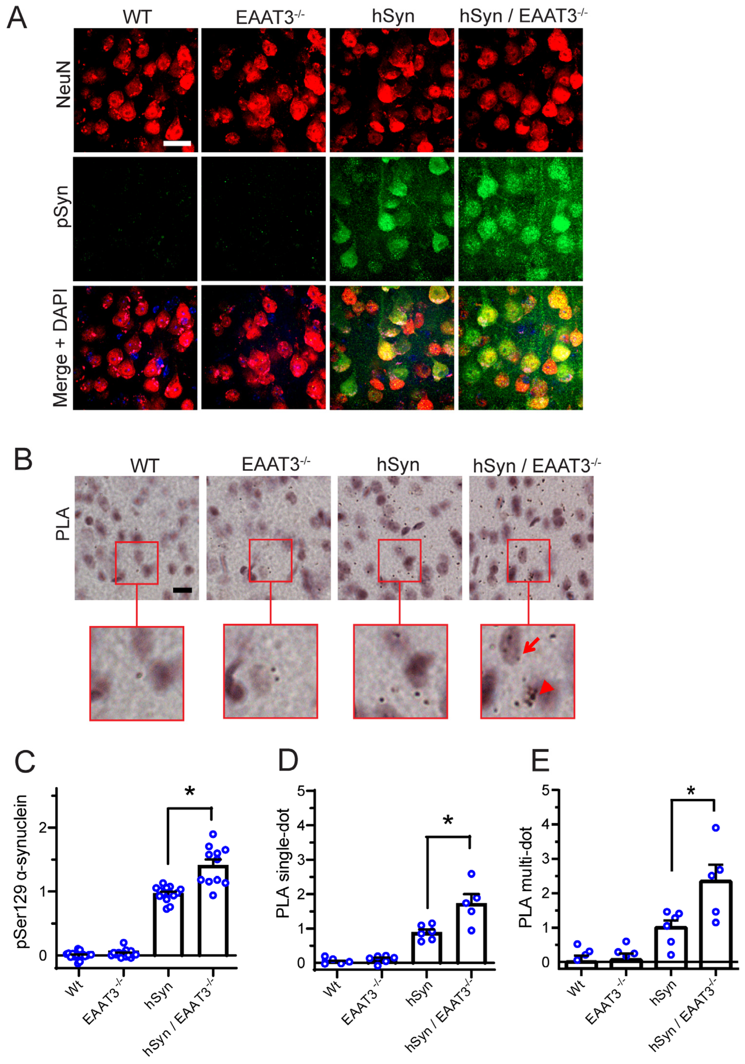 Antioxidants 11 02466 g002