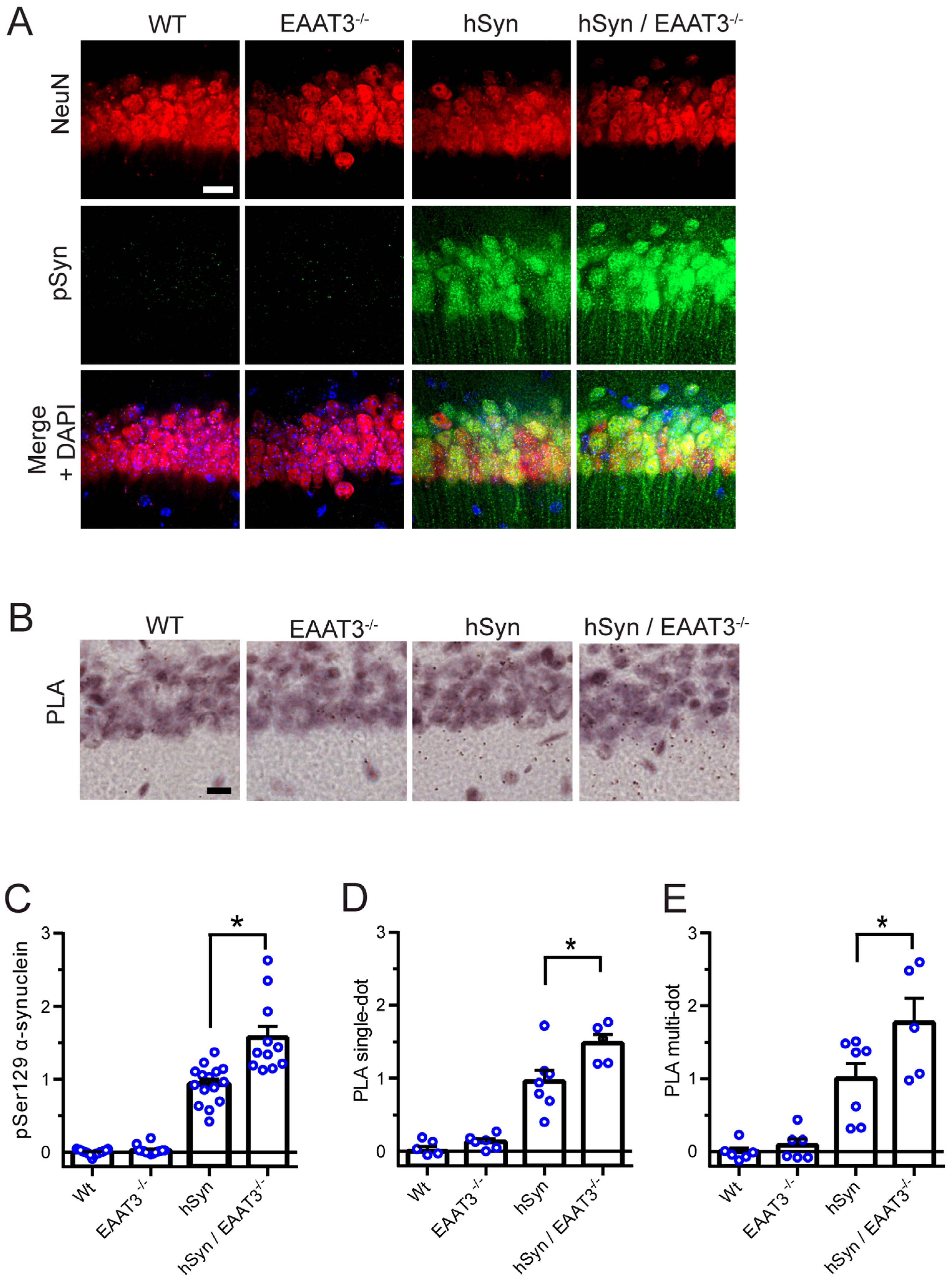 Antioxidants 11 02466 g003