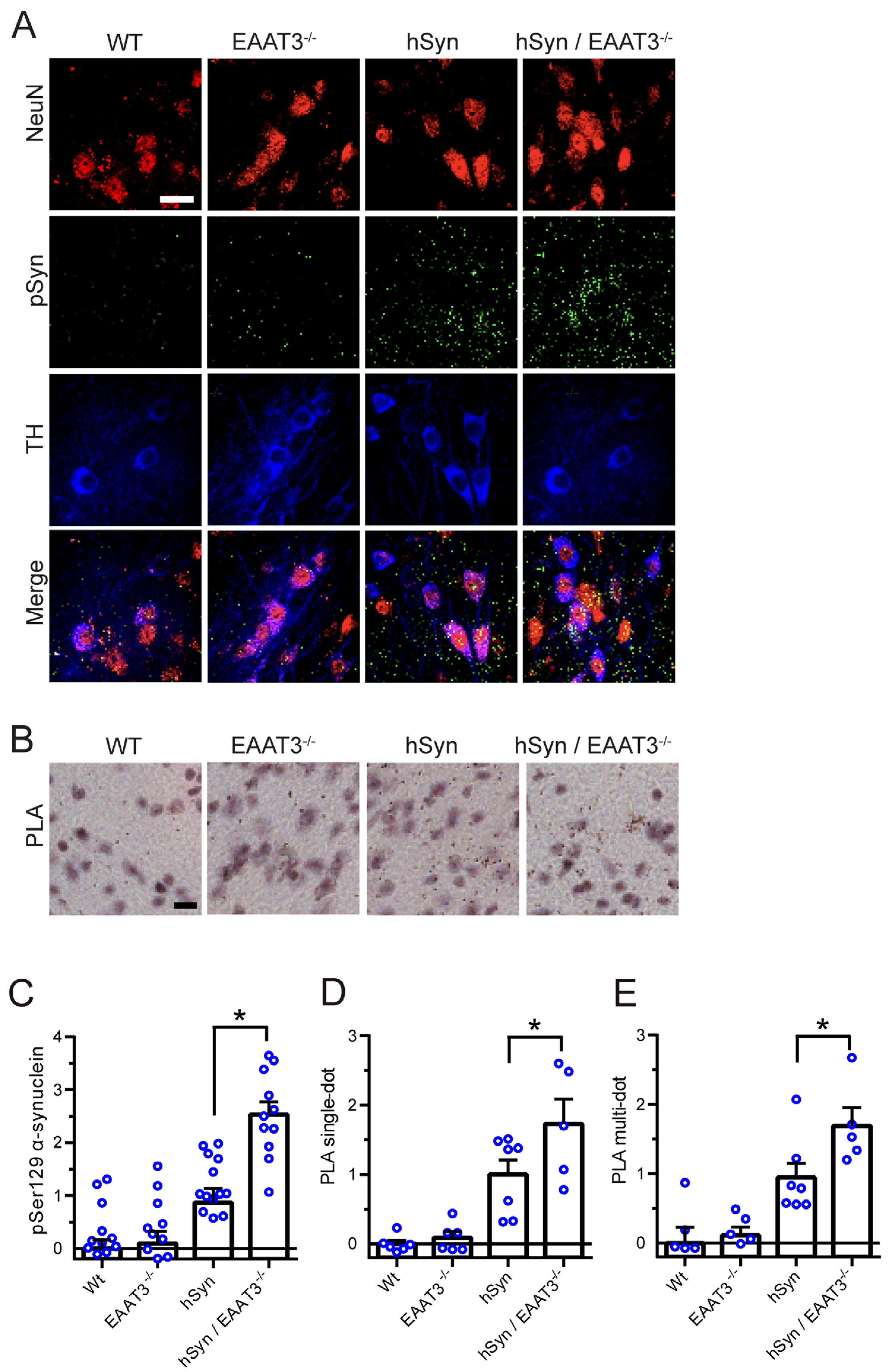 Antioxidants 11 02466 g004
