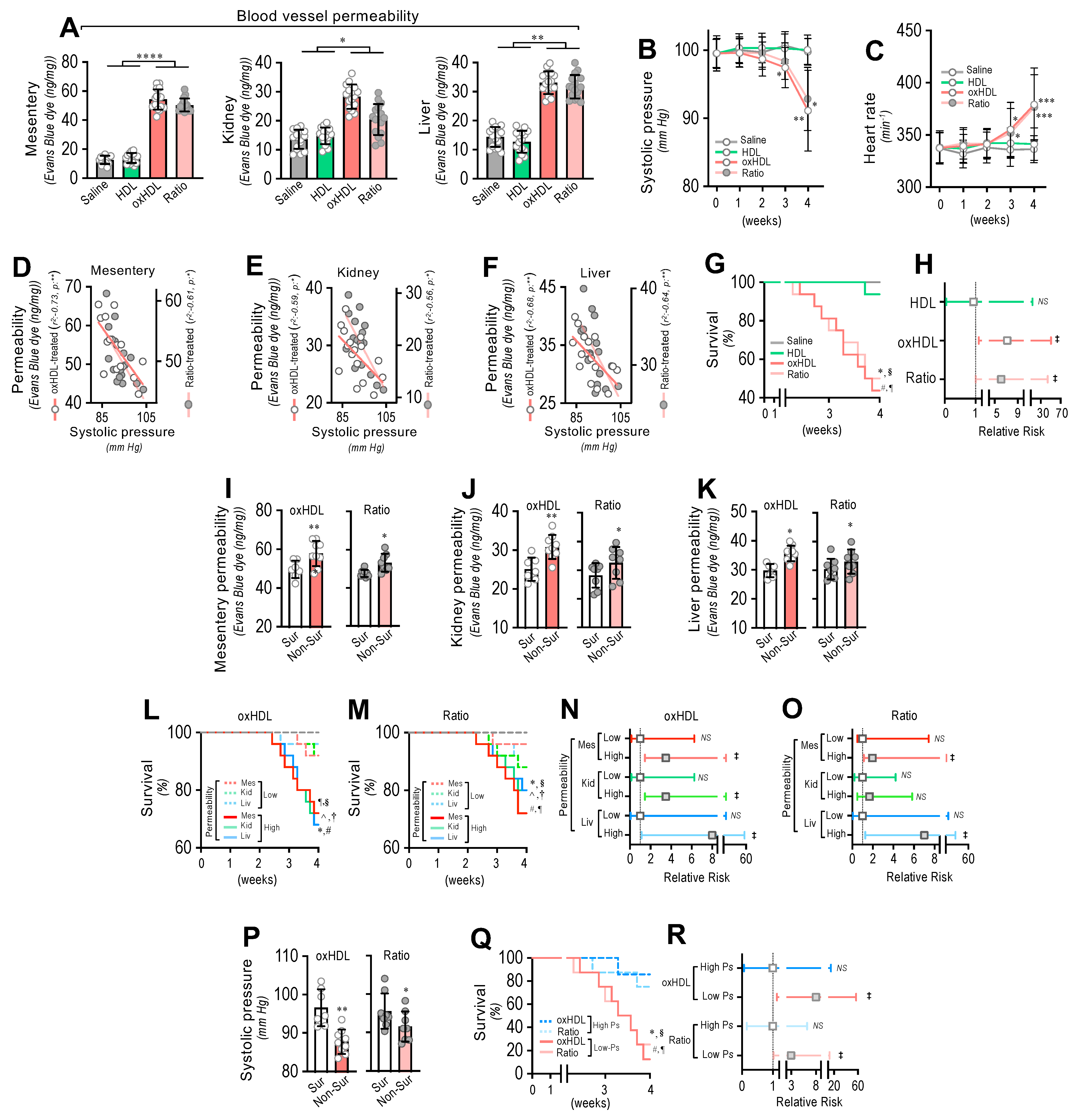Antioxidants 11 02469 g005
