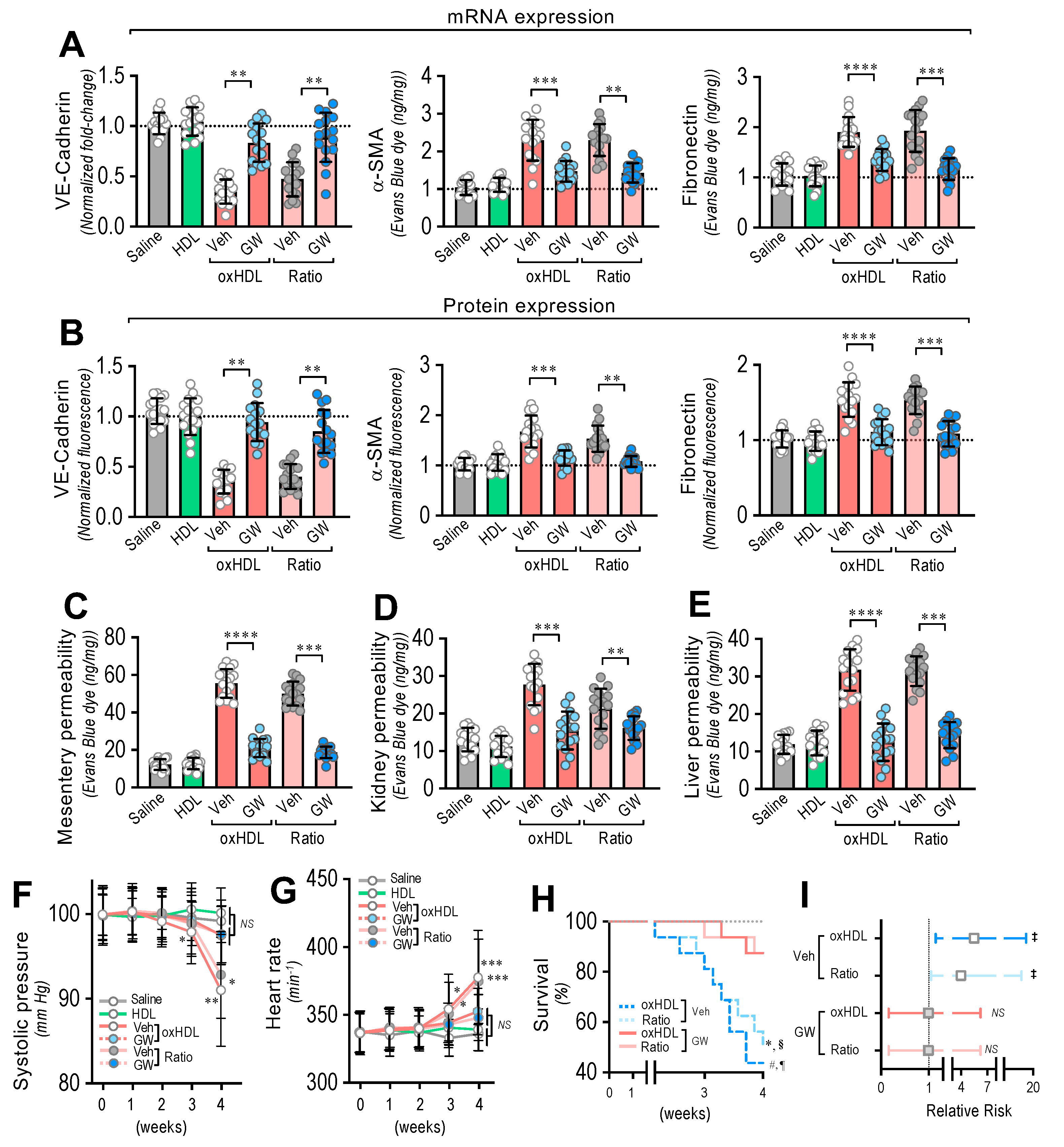 Antioxidants 11 02469 g006