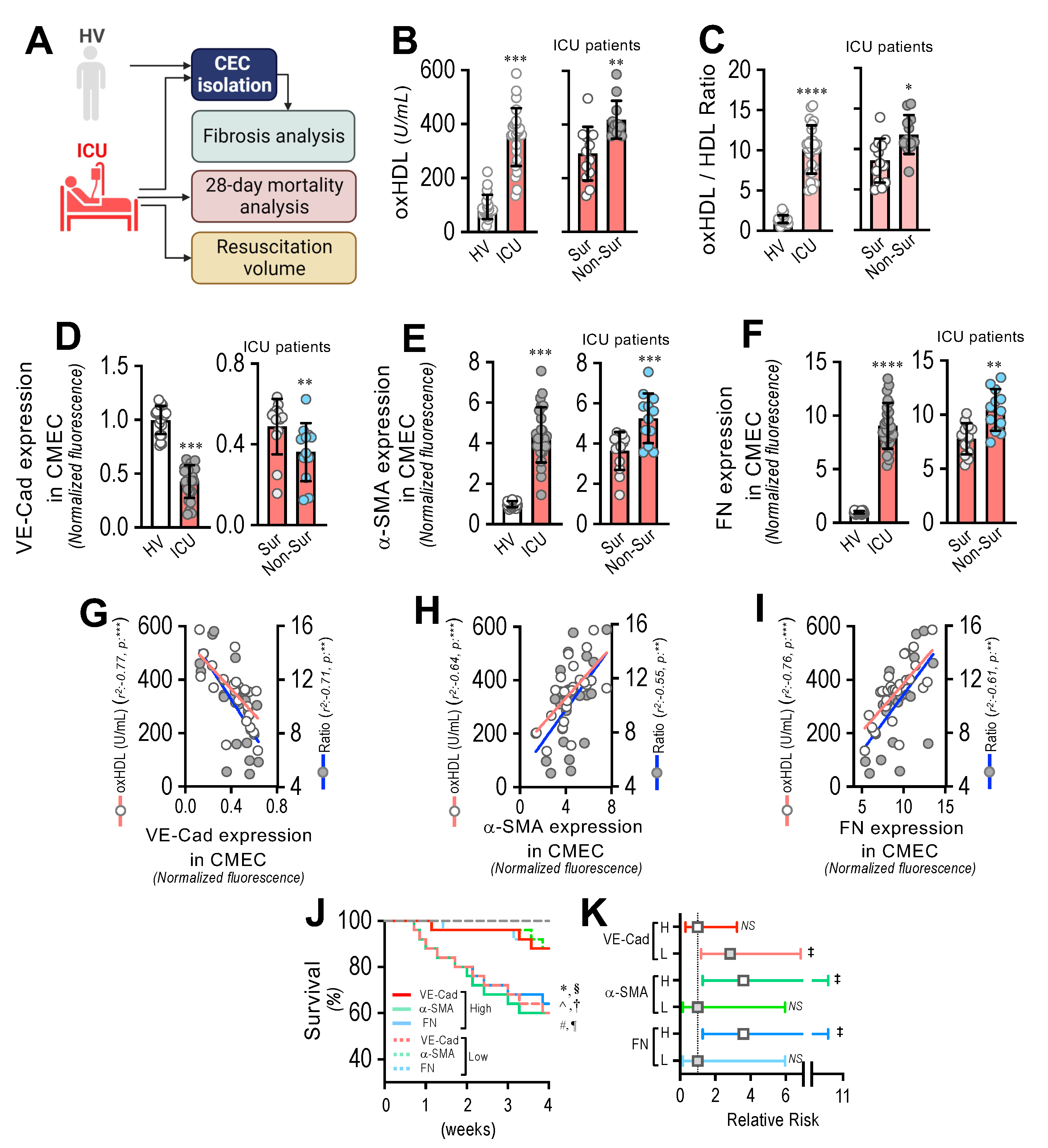 Antioxidants 11 02469 g008